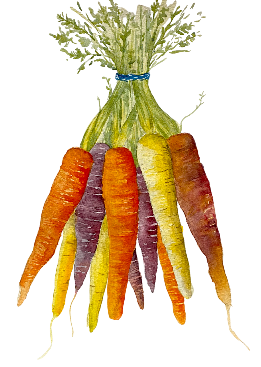 februari.wortels.png