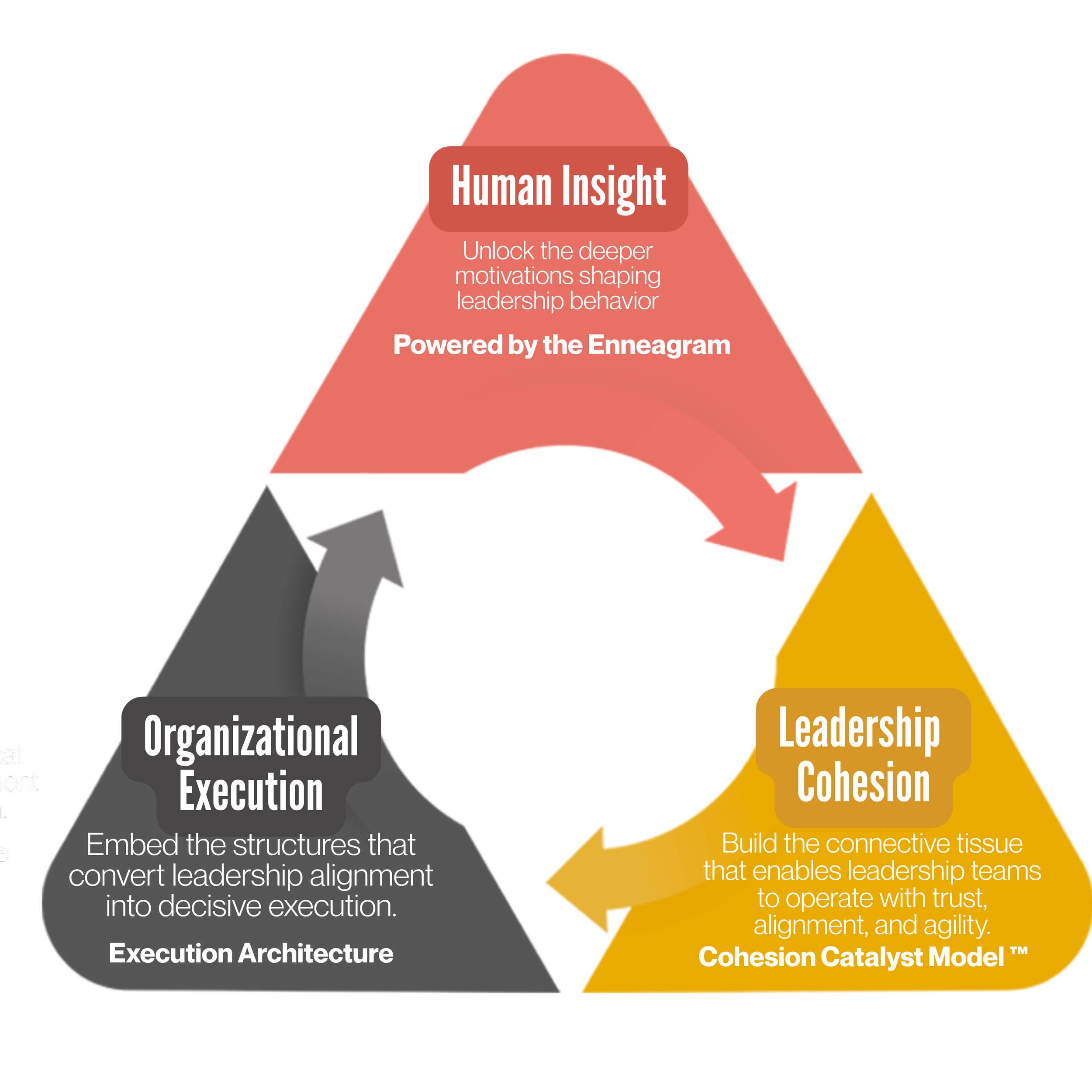 Optimize Corps Enneagram, depicting the process of leadership development using the Enneagram, showing key concepts such as Human Insight, Organizational Execution, Leadership Cohesion, and the Cohesion Catalyst Model.