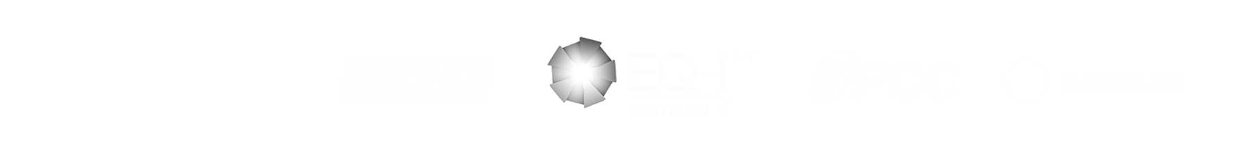 Credentials Optimized Corps, Integrative Enneagram Accredited Practitioner, IPEC, EQ-i Certified, PCC, and The Leadership Certified Practitioner,