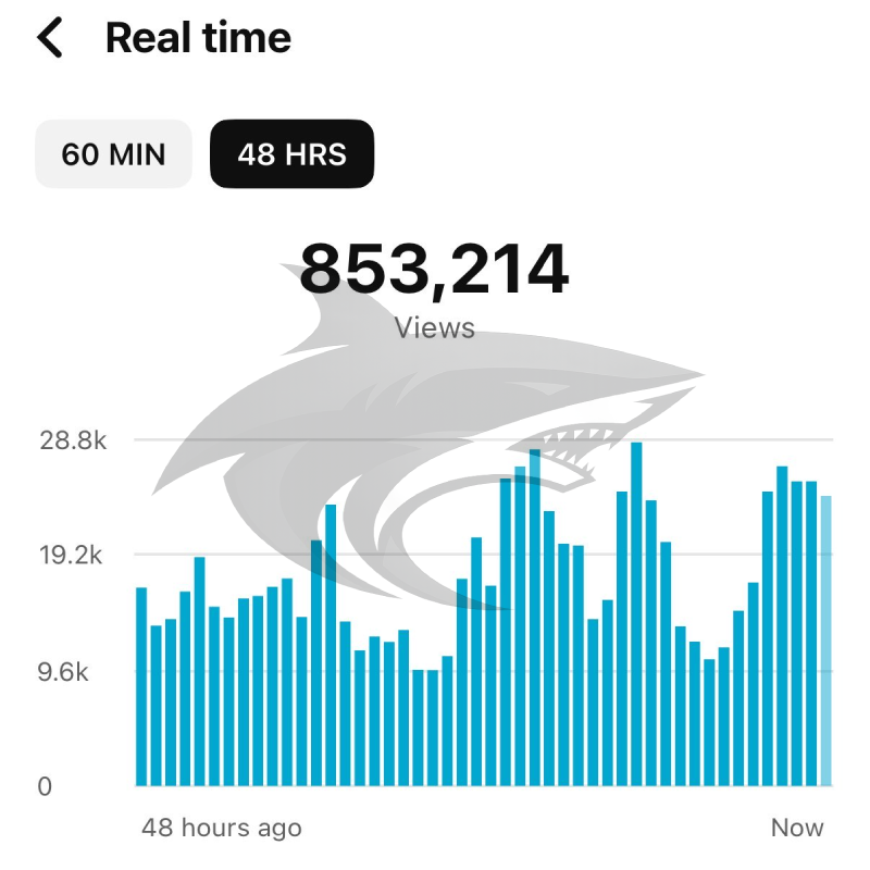 A digital graph showing views over the past 48 hours, with a total of 853,214 views. The graph has bars representing the number of views at different times, and a watermark of a stylized, aggressive-looking lizard or dragon is behind the bars. The in