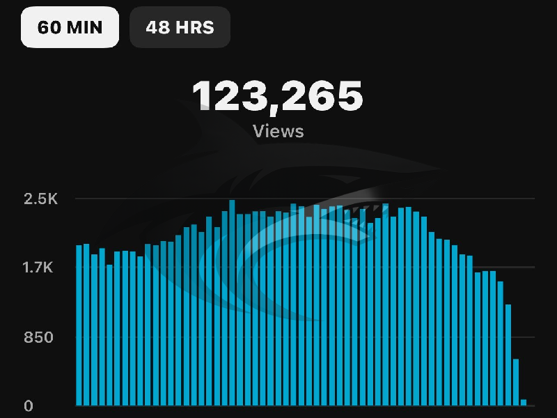 Bar graph showing 123,265 views over 48 hours, with fluctuating blue bars and metrics of 60-minute and 48-hour periods.