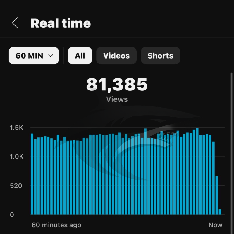 Screenshot of a real-time view count graph showing 81,385 views within 60 minutes on a video platform.