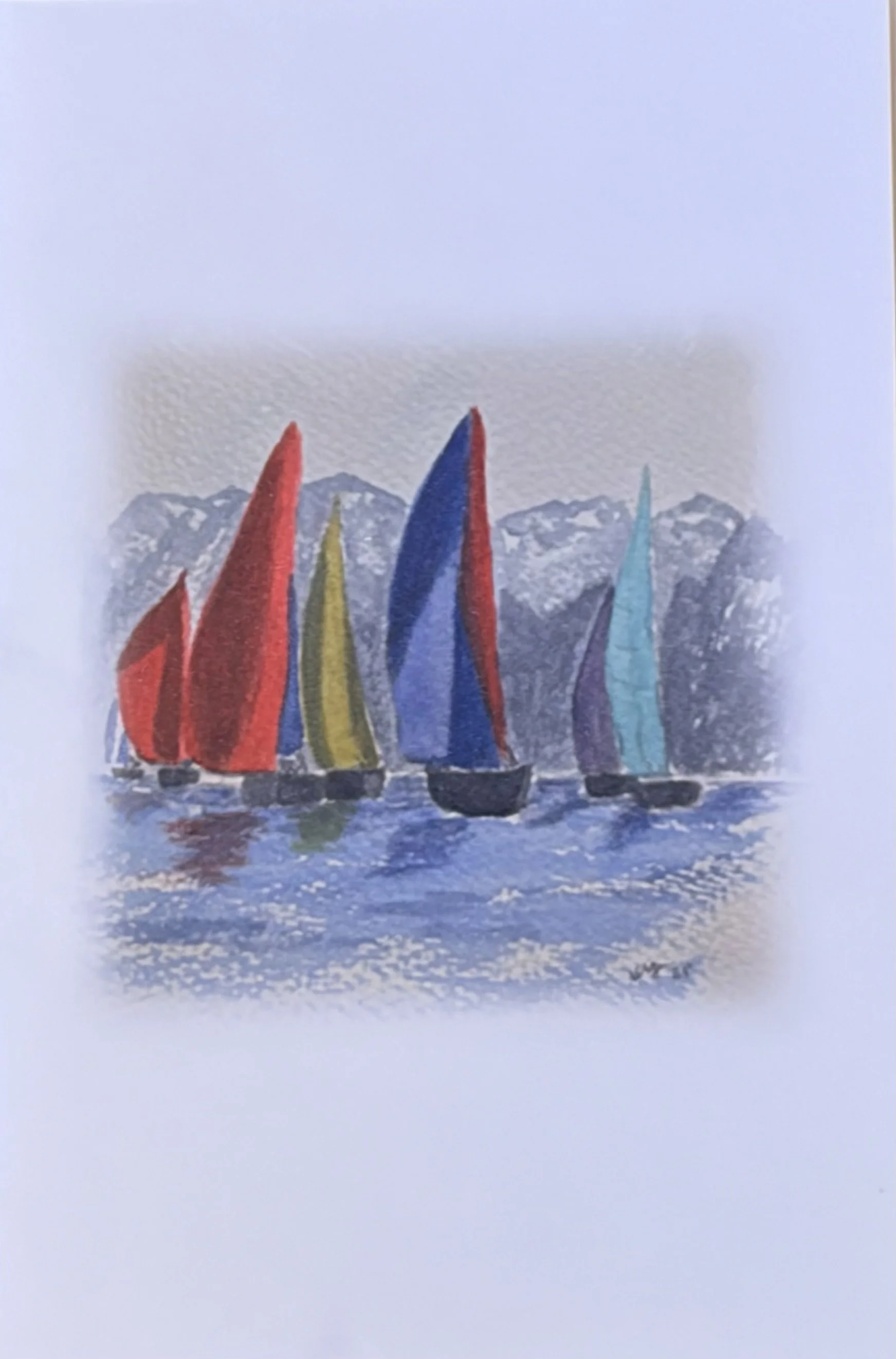 Spinnaker Races