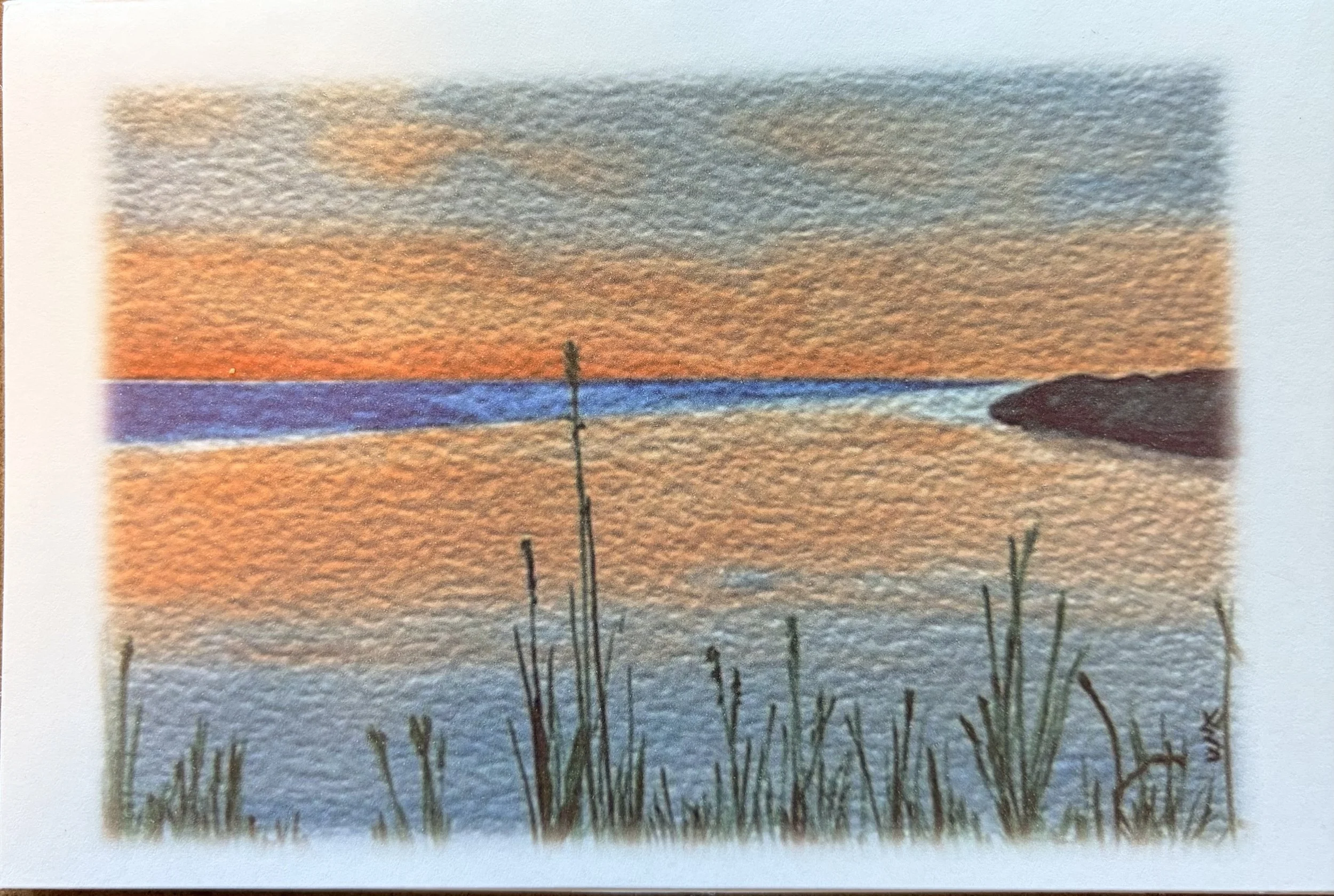 Sunset on the Cove