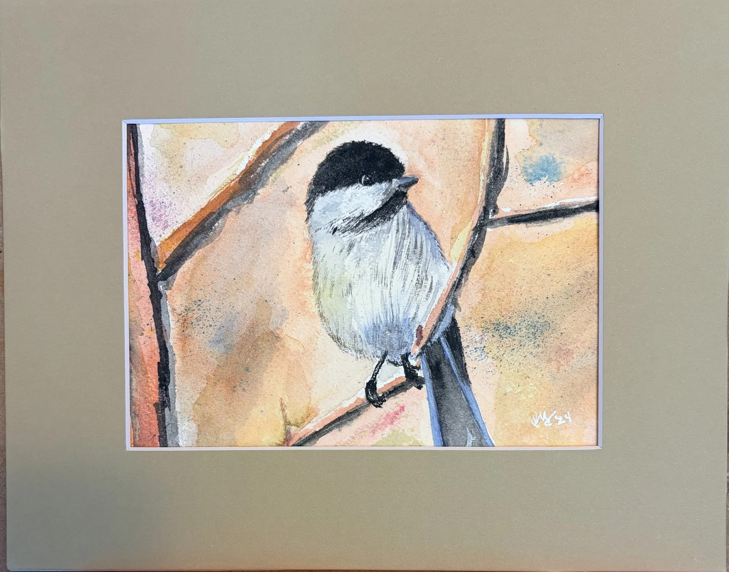 Watchful Chickadee 