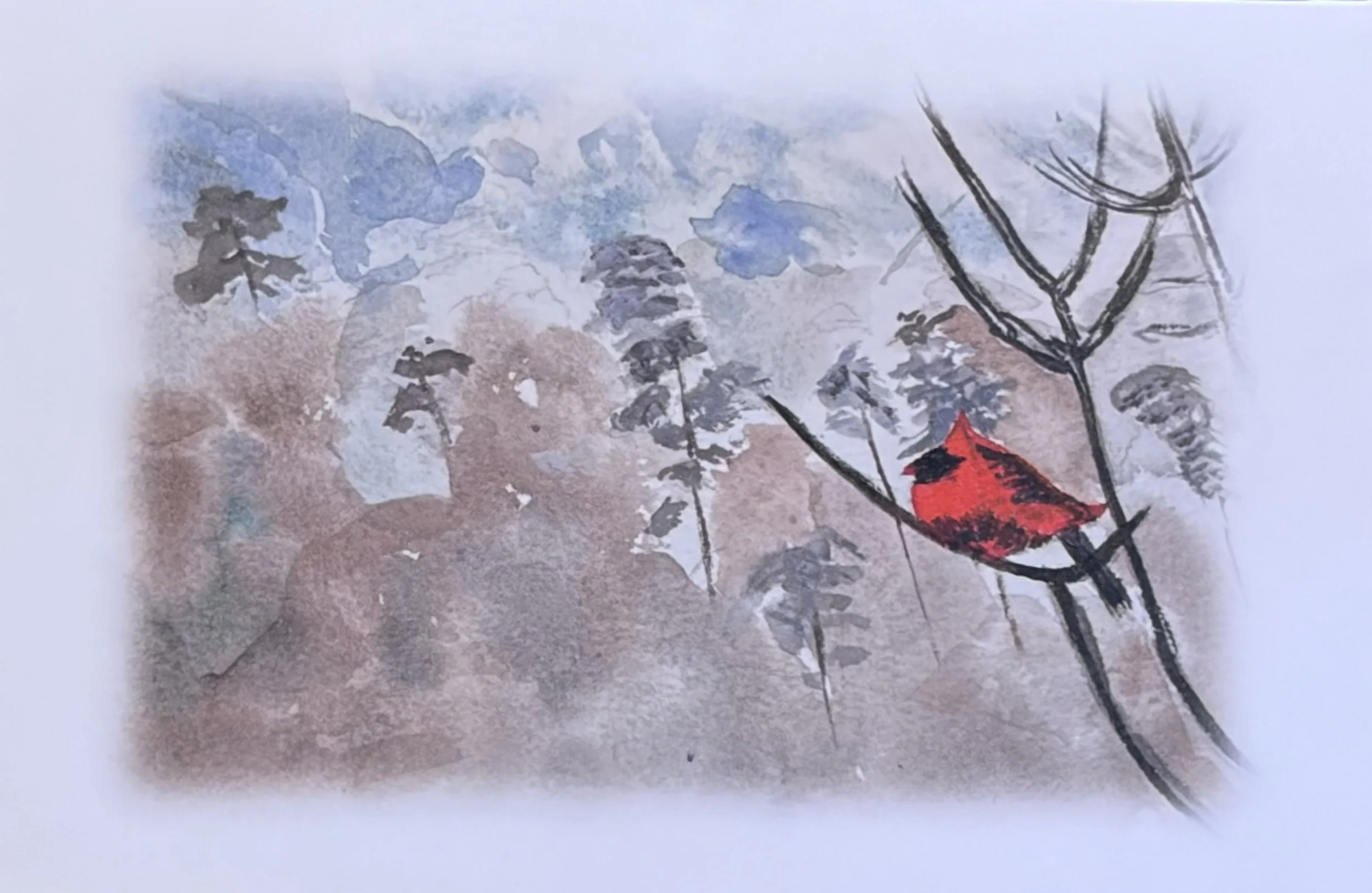 Winter Cardinal 