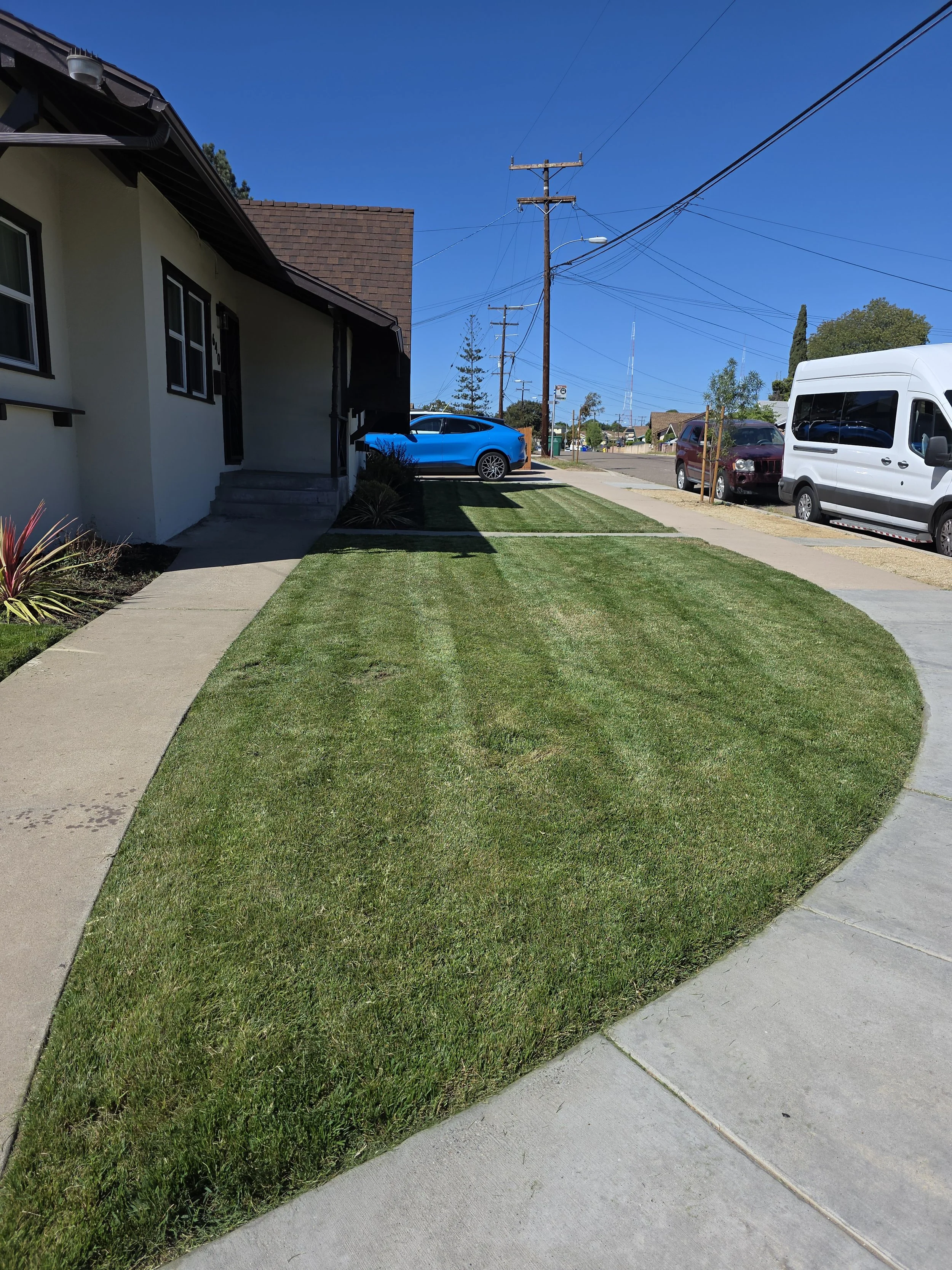 Eco-Friendly Lawn Maintenance