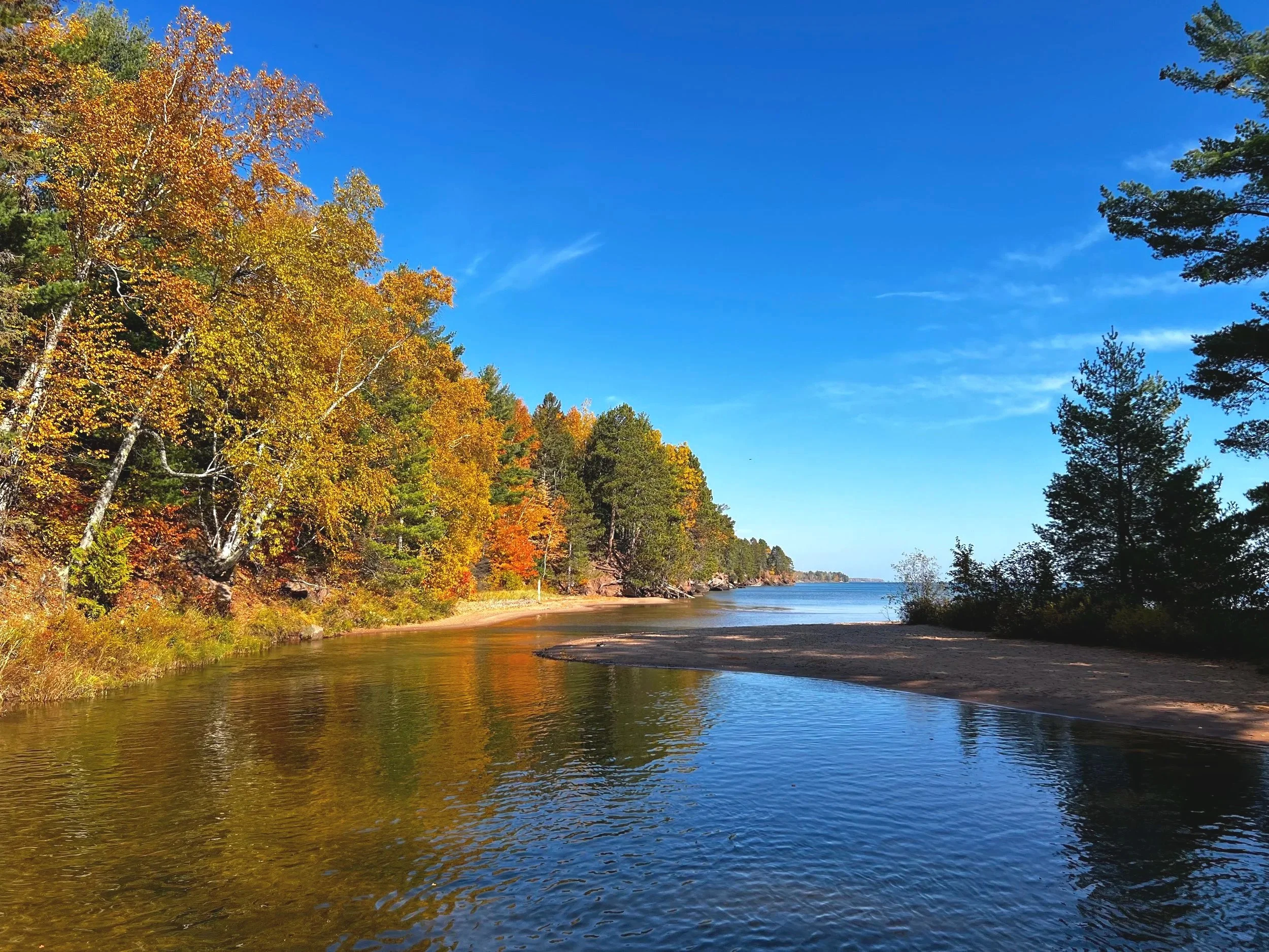 A river flowing through a forest with trees in fall colors and a clear blue sky.