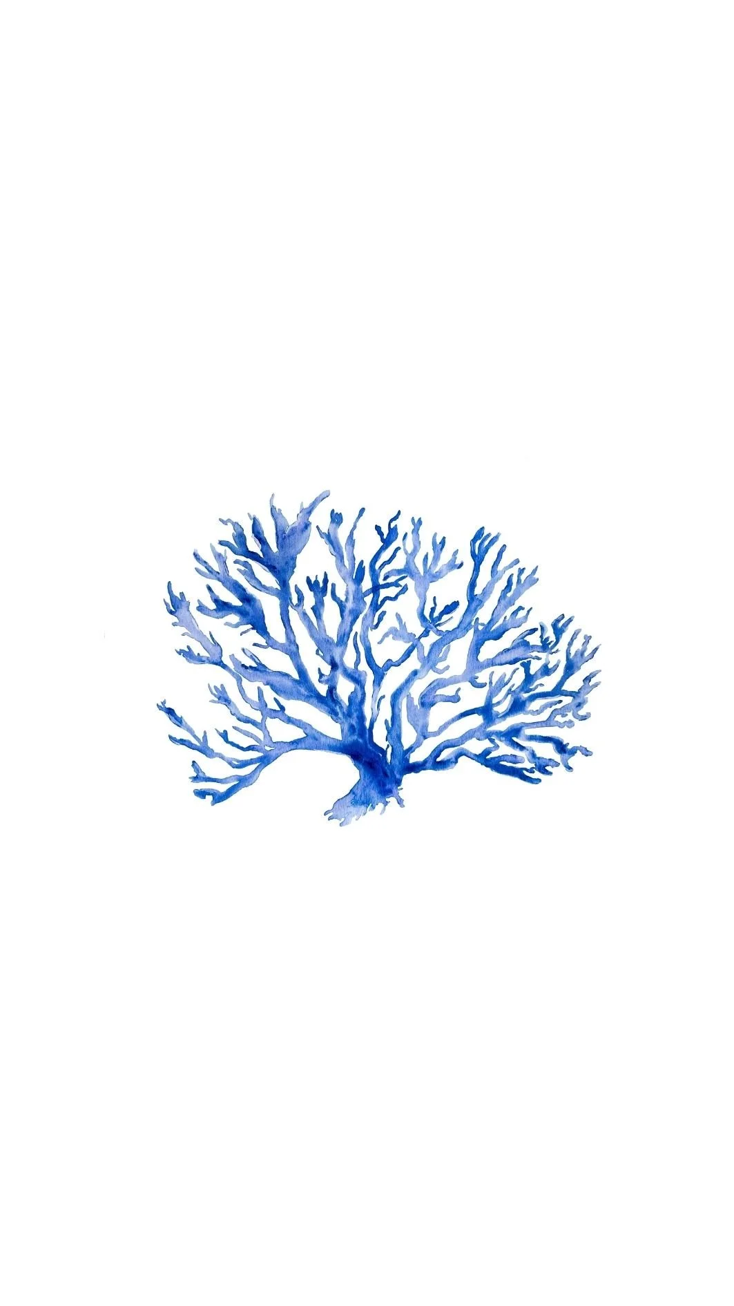Coral.jpg