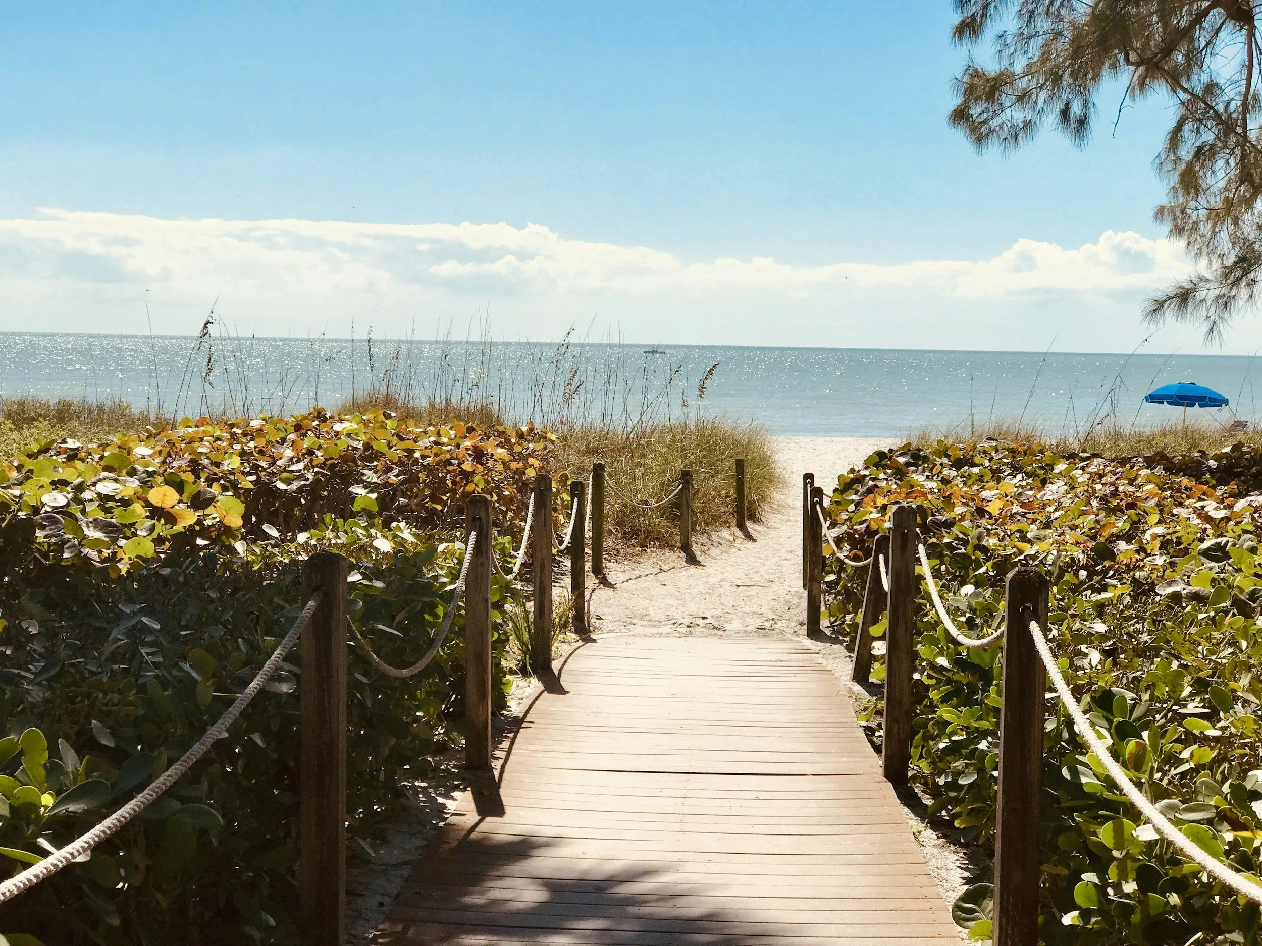 A sandy beach pathway bordered by green bushes, leading to a beach with calm water and a blue umbrella, under a partly cloudy sky with a few clouds and a distant boat on the horizon.