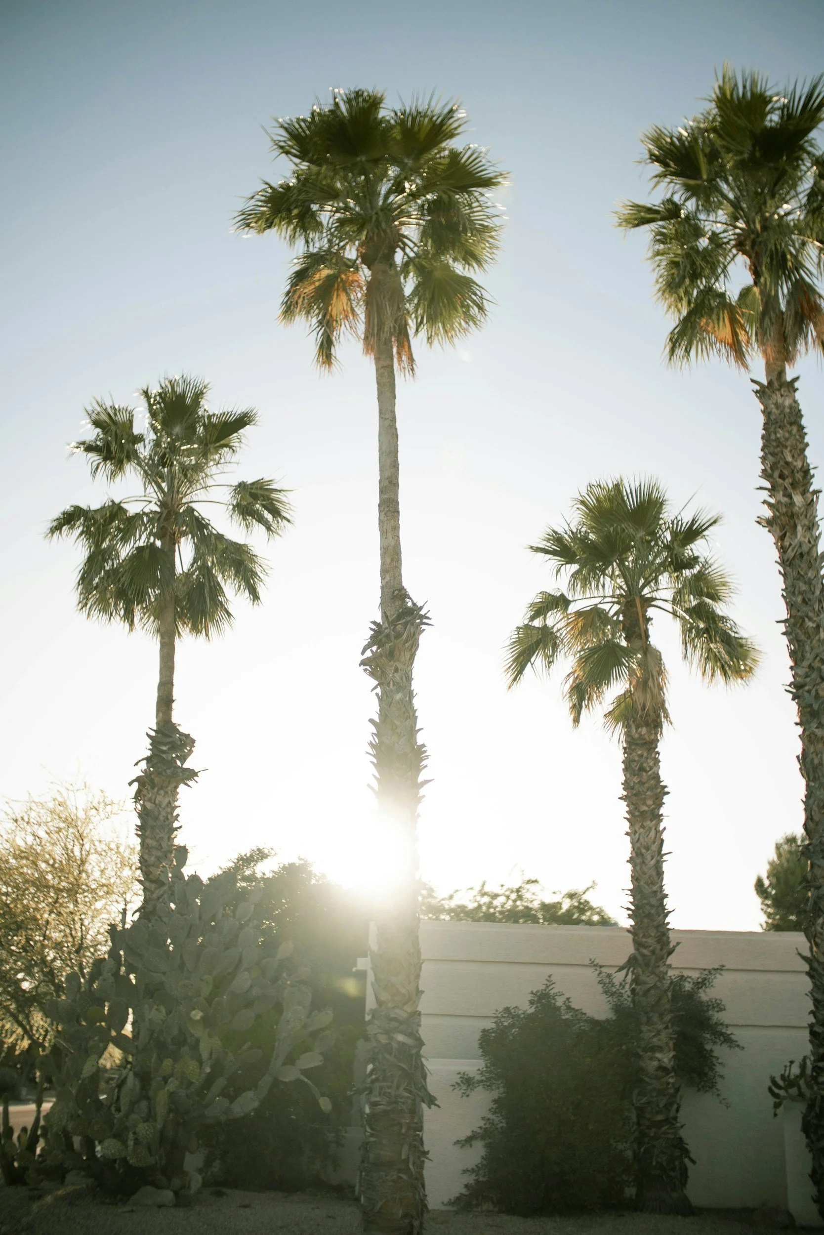 Why Pilates Has Become Scottsdale's Favorite Workout for Busy Women