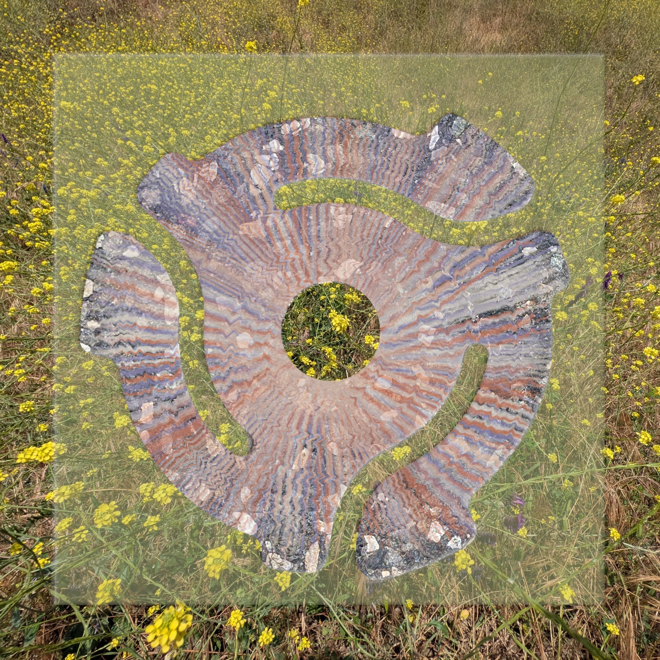 Close-up of a layered, colorful rock with wavy patterns, lying in a field of small yellow flowers and green grass.