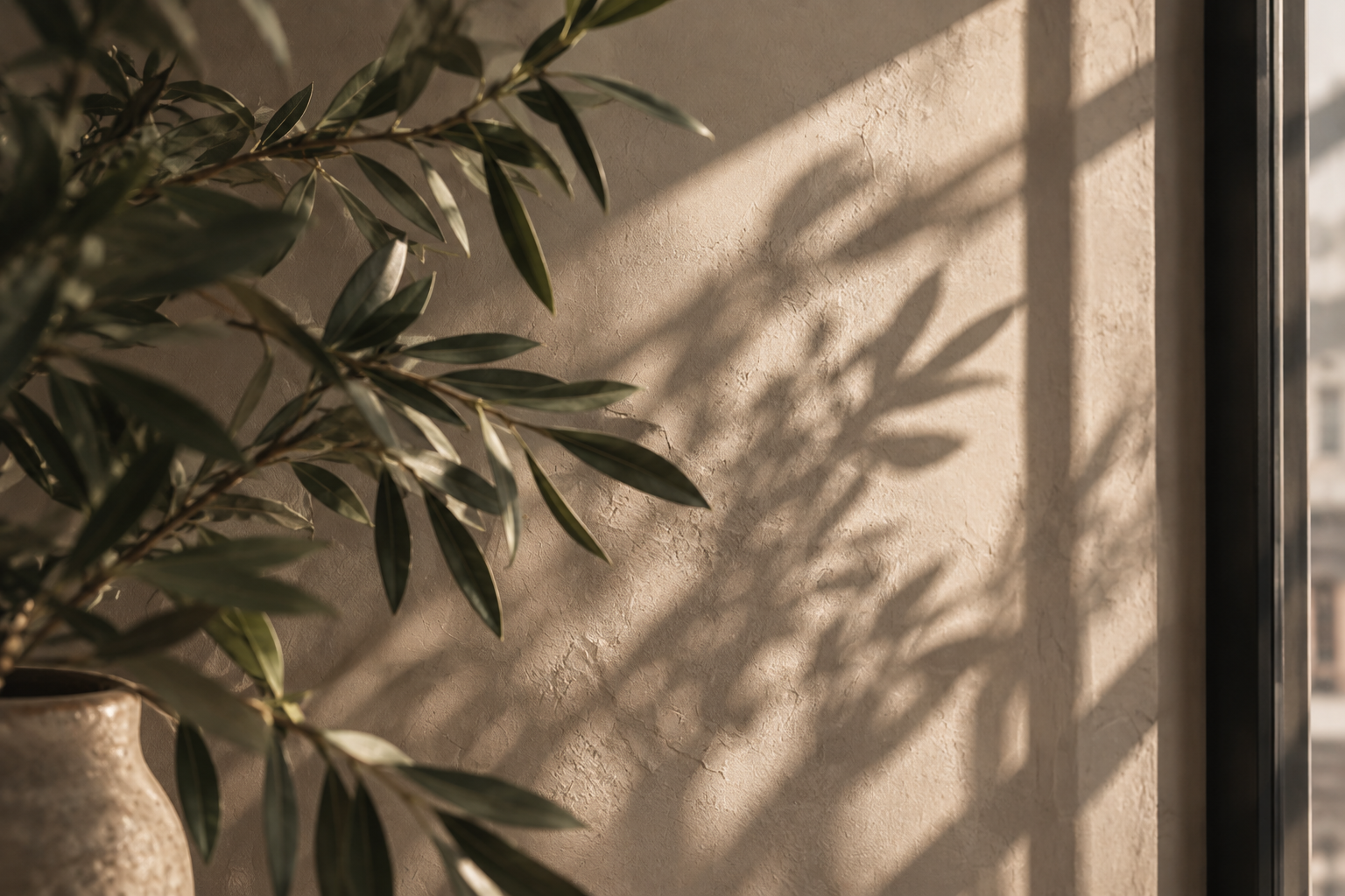 Olive-green plant casting shadows on a warm beige wall, representing nervous system regulation and somatic coaching.
