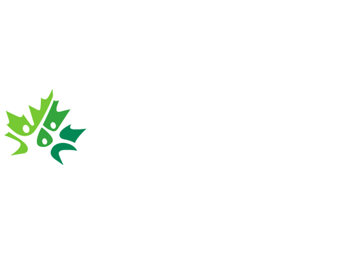 CIHR Canadian Institutes of Health Research