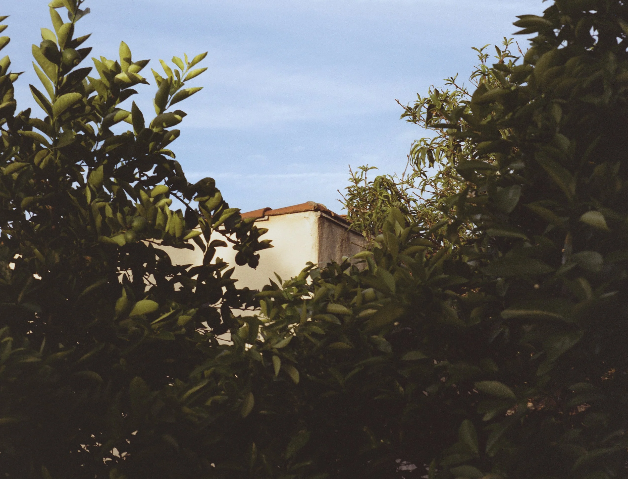 casanaranja-5.jpg