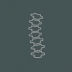 Line drawing of a human spine against a dark background.