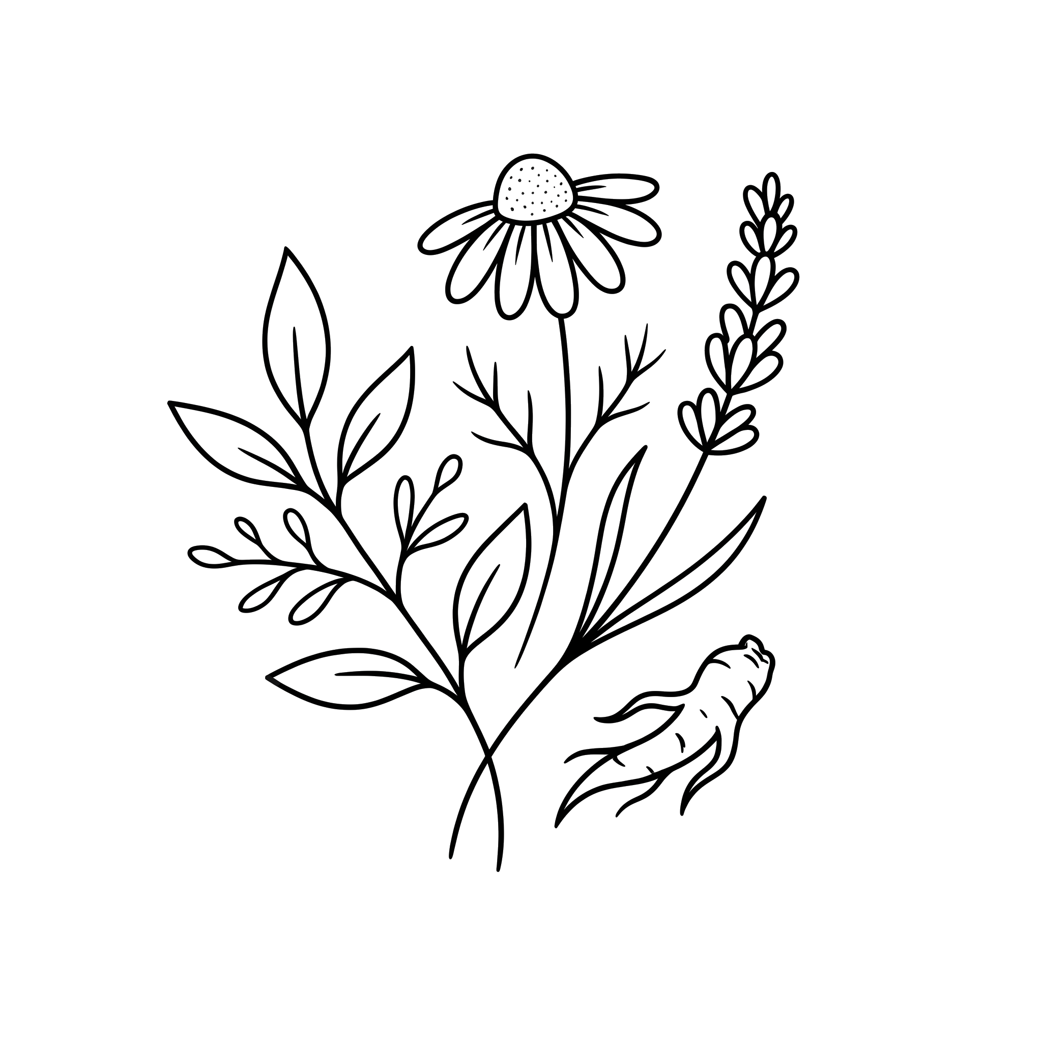 A line drawing of various flowers and plants with detailed leaves.