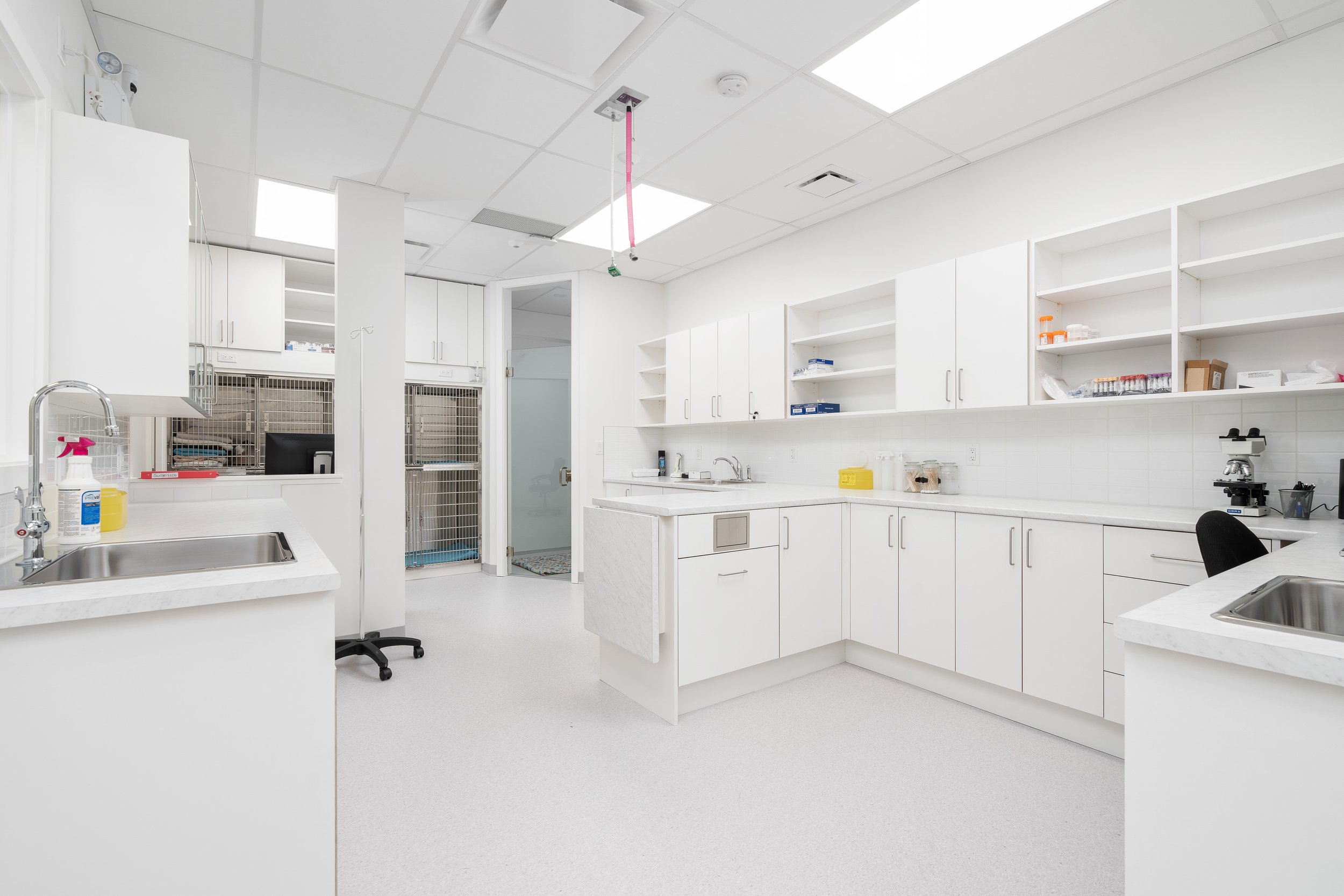 A sterile, white medical or laboratory room with countertops, sinks, and open shelves. There are metal cages or storage units at the back near a door, and a microscope is on the right counter. The ceiling has recessed lighting and a pink object hanging from it.