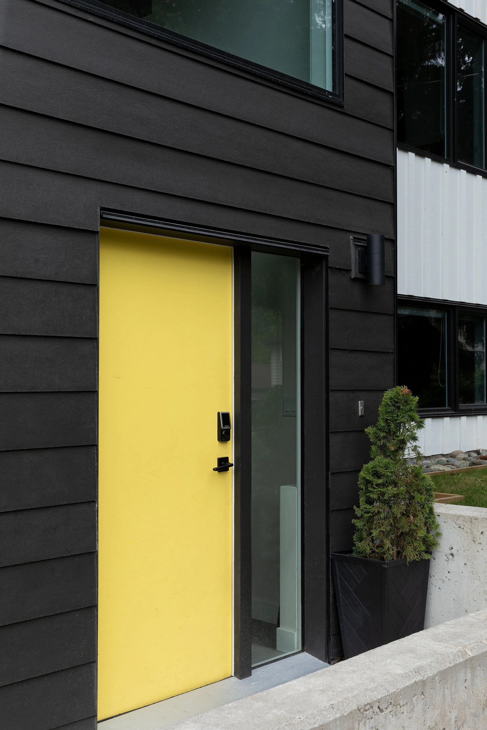 Modern house with black siding, a bright yellow front door, glass side panels, small green shrub in a black planter, and a concrete step.