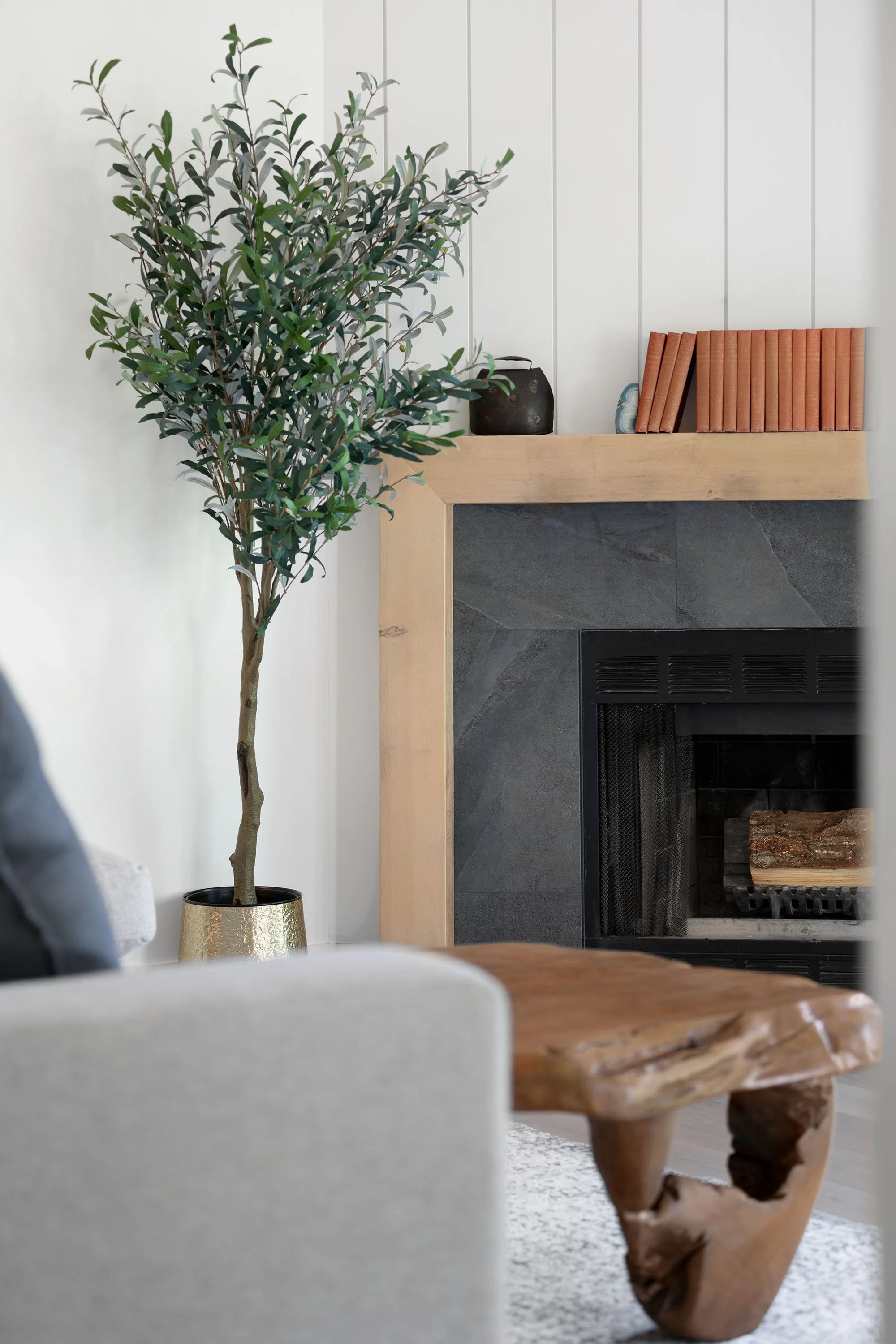 Interior view of a living room with a large green leafy plant in a gold pot, a fireplace with black stone tiles, a wooden mantle with books, a black vase, and a small decorative plate. Part of a gray sofa and a wooden coffee table are also visible.