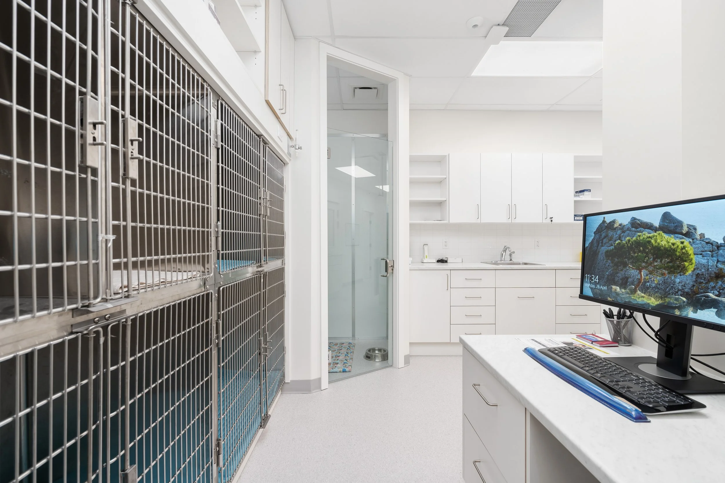 A veterinary clinic or animal shelter room with stainless steel cages on the left and a white kitchenette with cabinets on the right. A computer monitor displays a scenic landscape, and the room has a white countertop, a sink, and a glass door leadin