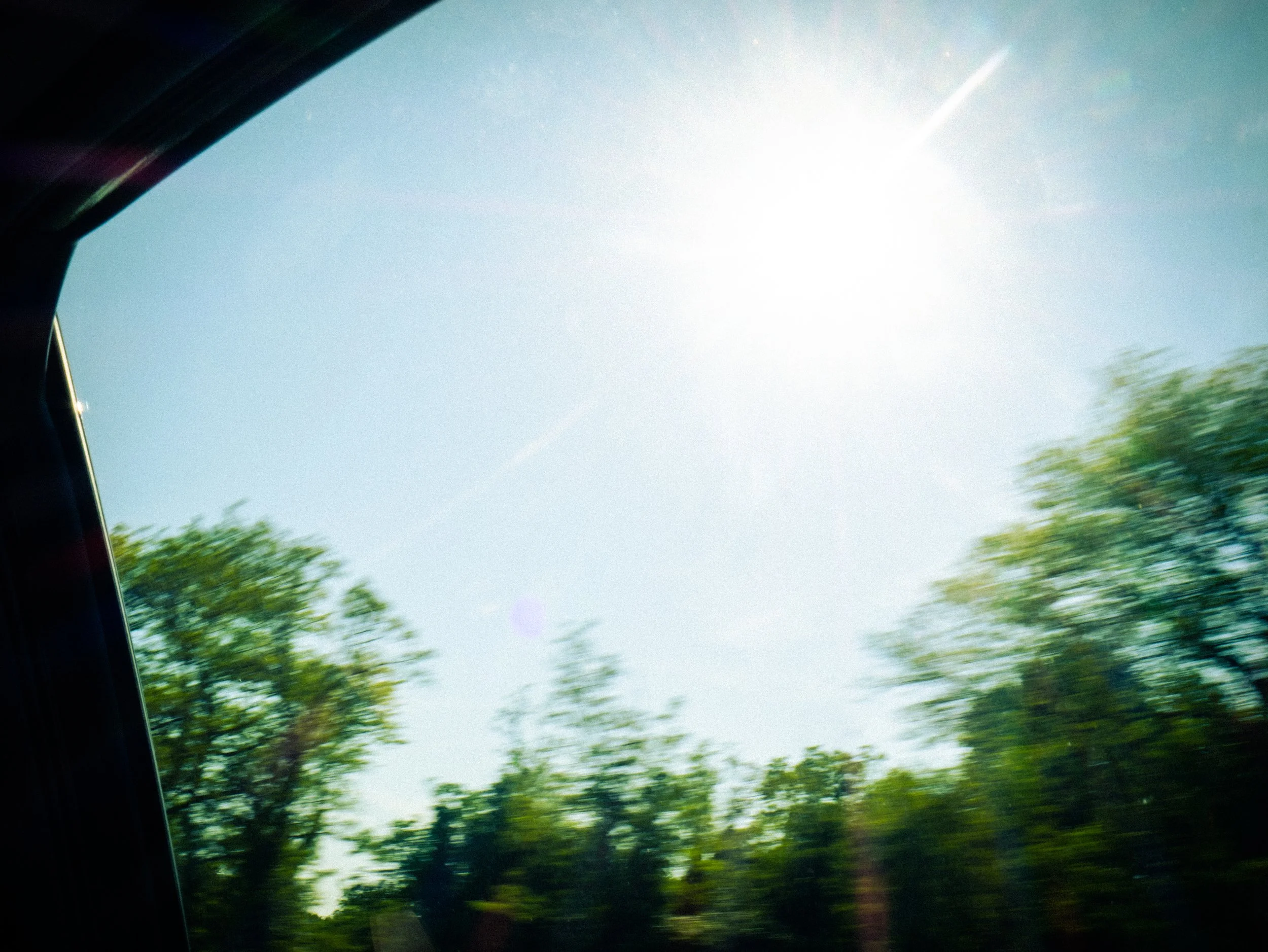 _1010380.jpg