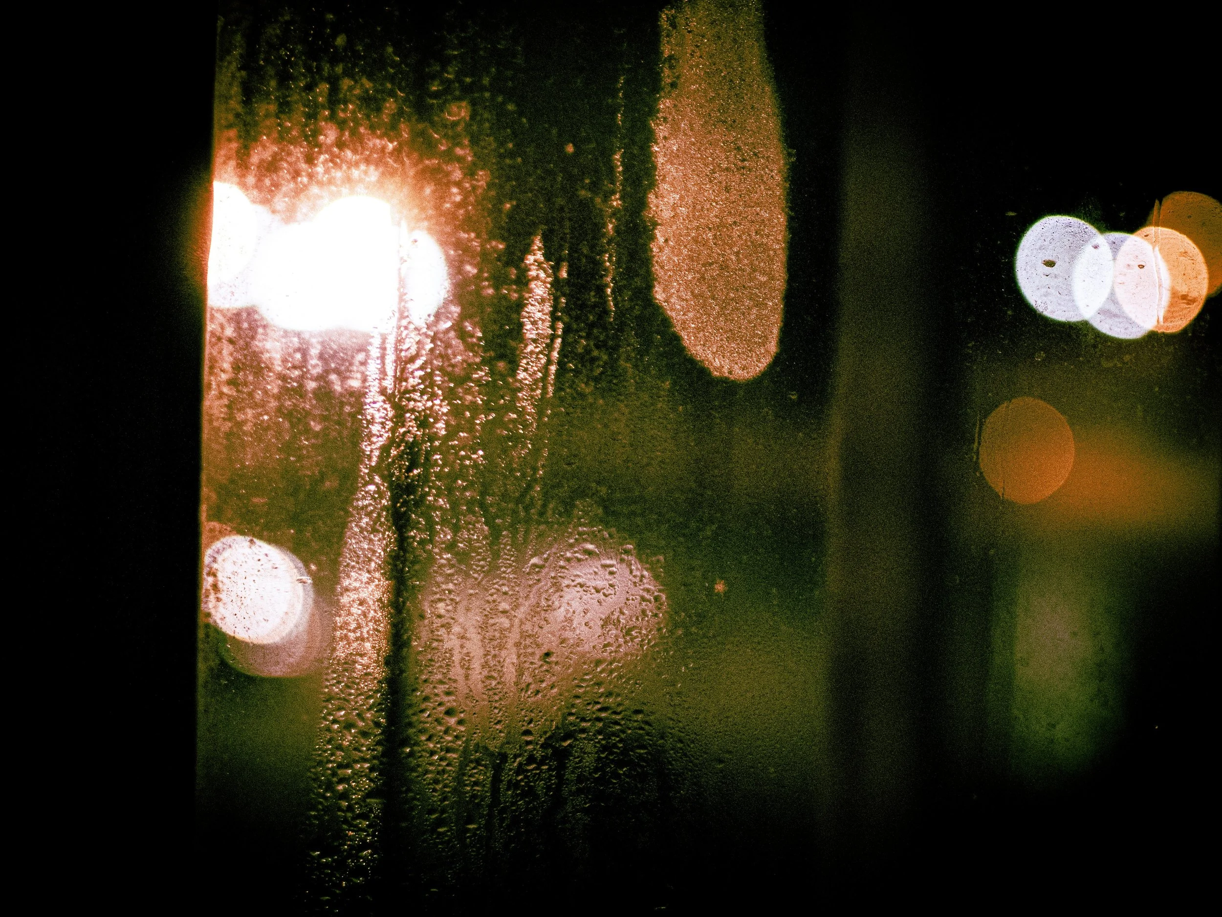 _1150093.jpg