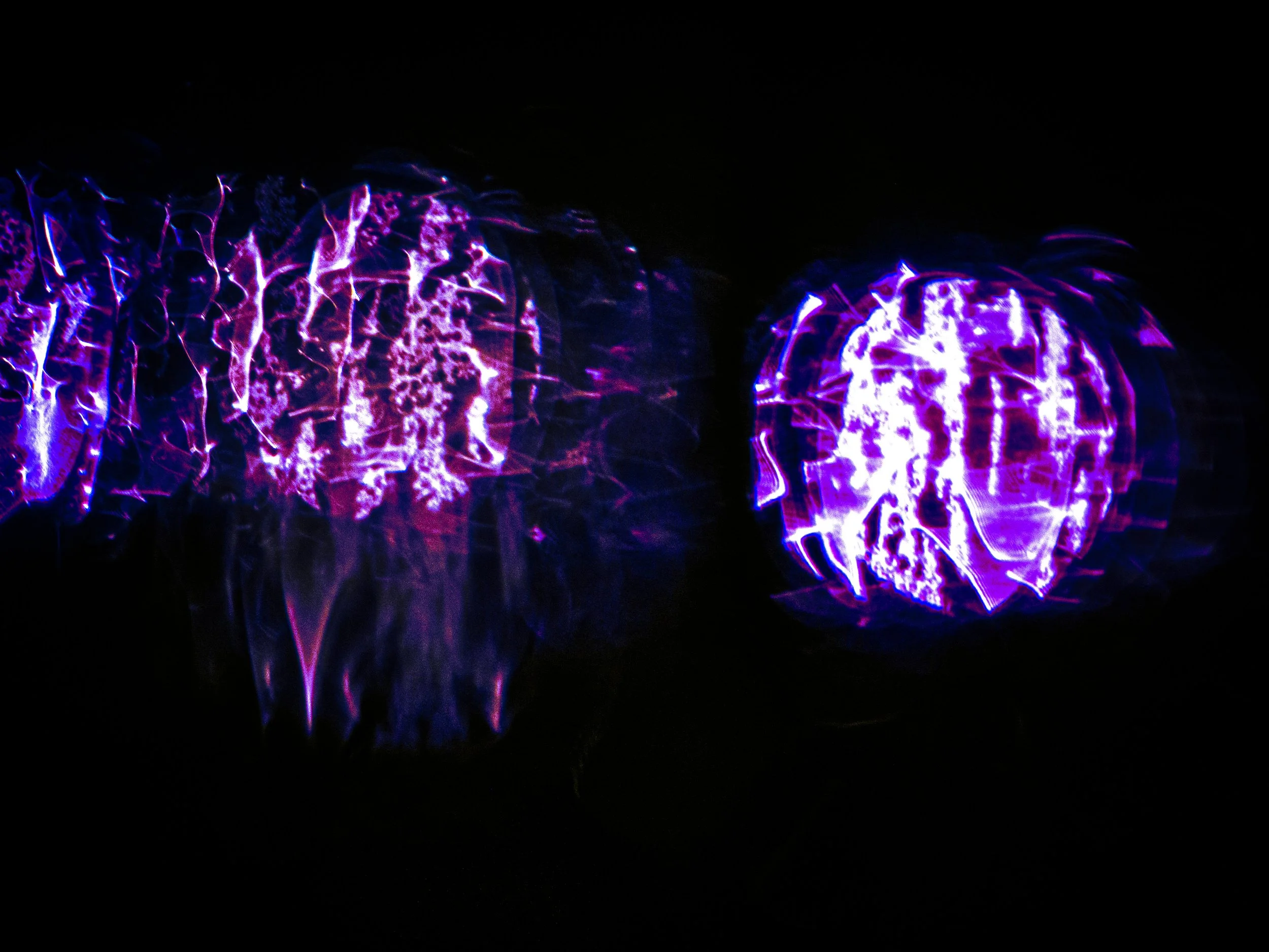 _1140472_1.jpg