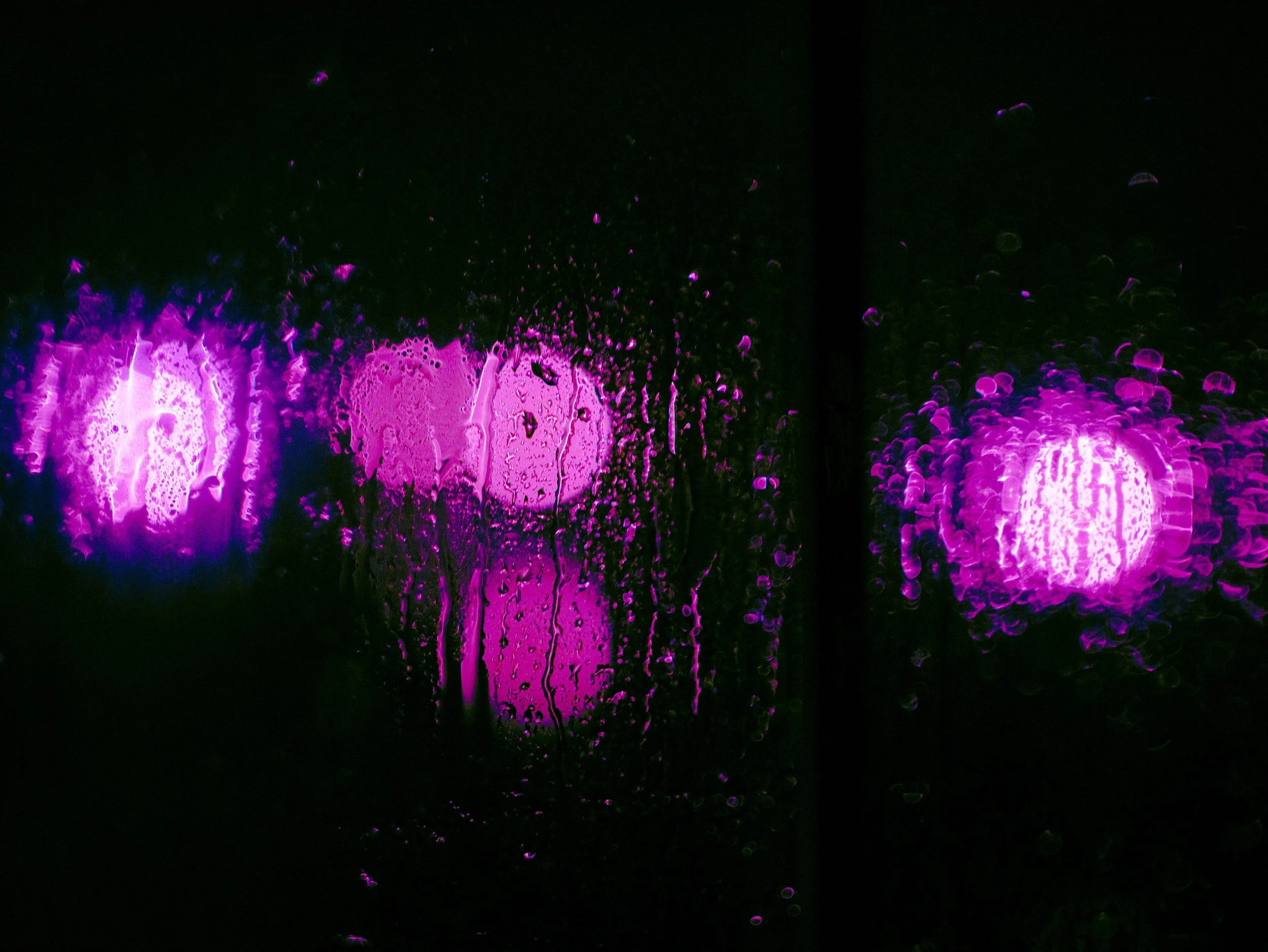 _1140498_1.jpg