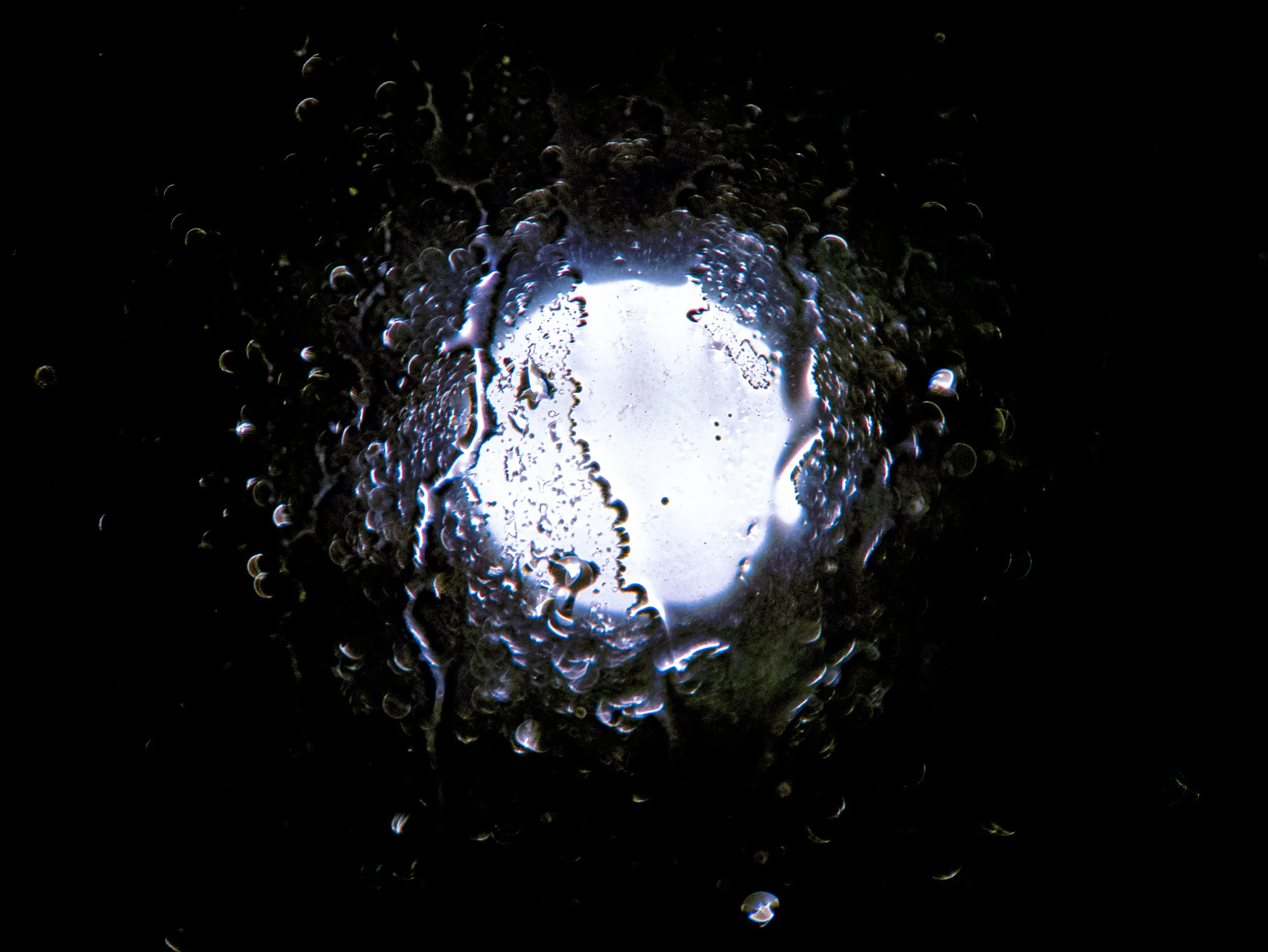 _1140437_1.jpg
