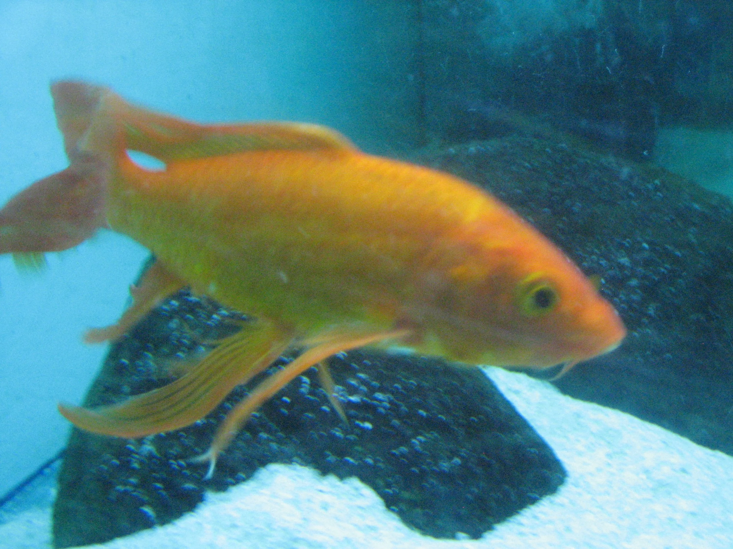 IMG_7298.JPG