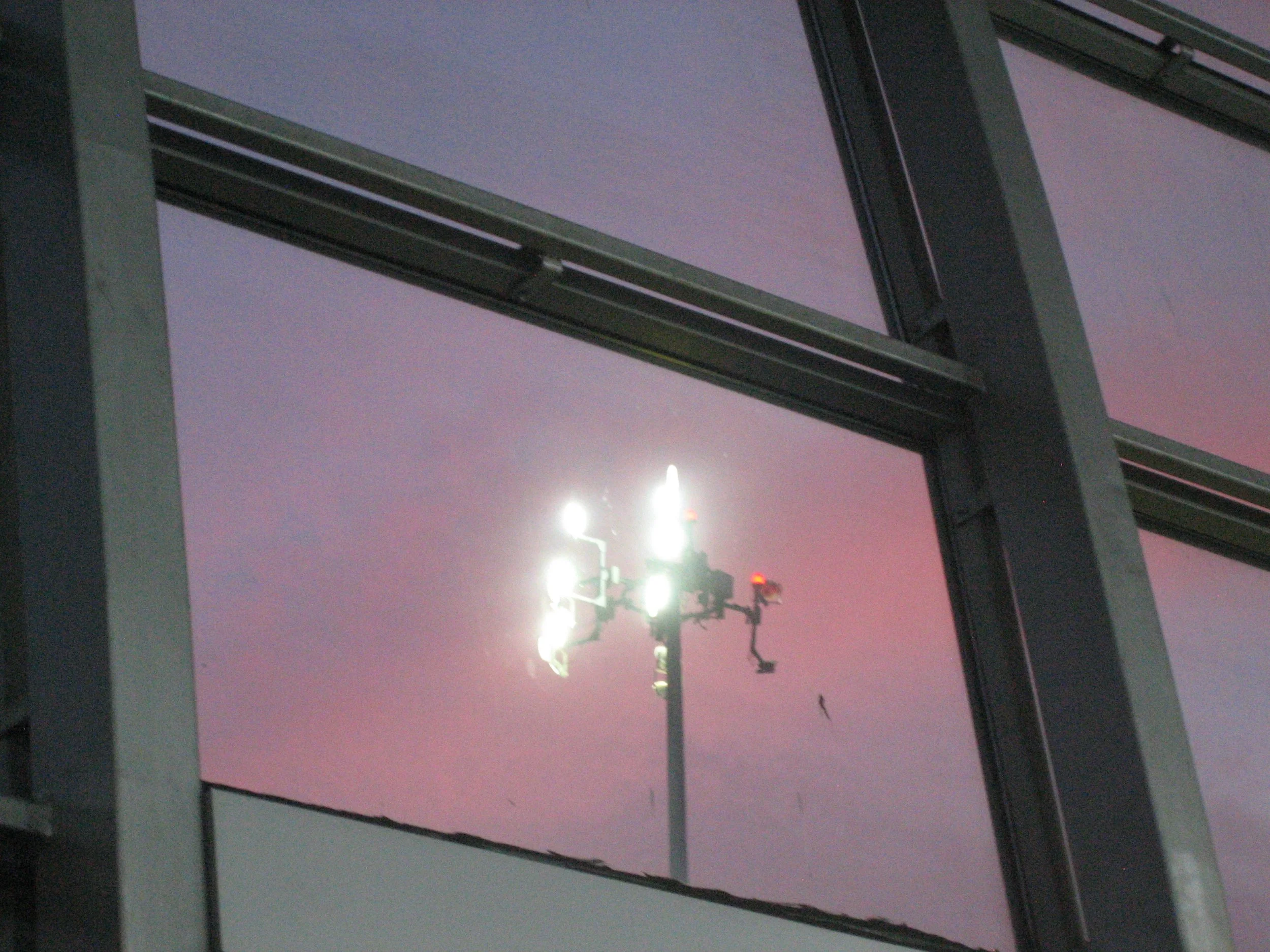 IMG_7293.JPG