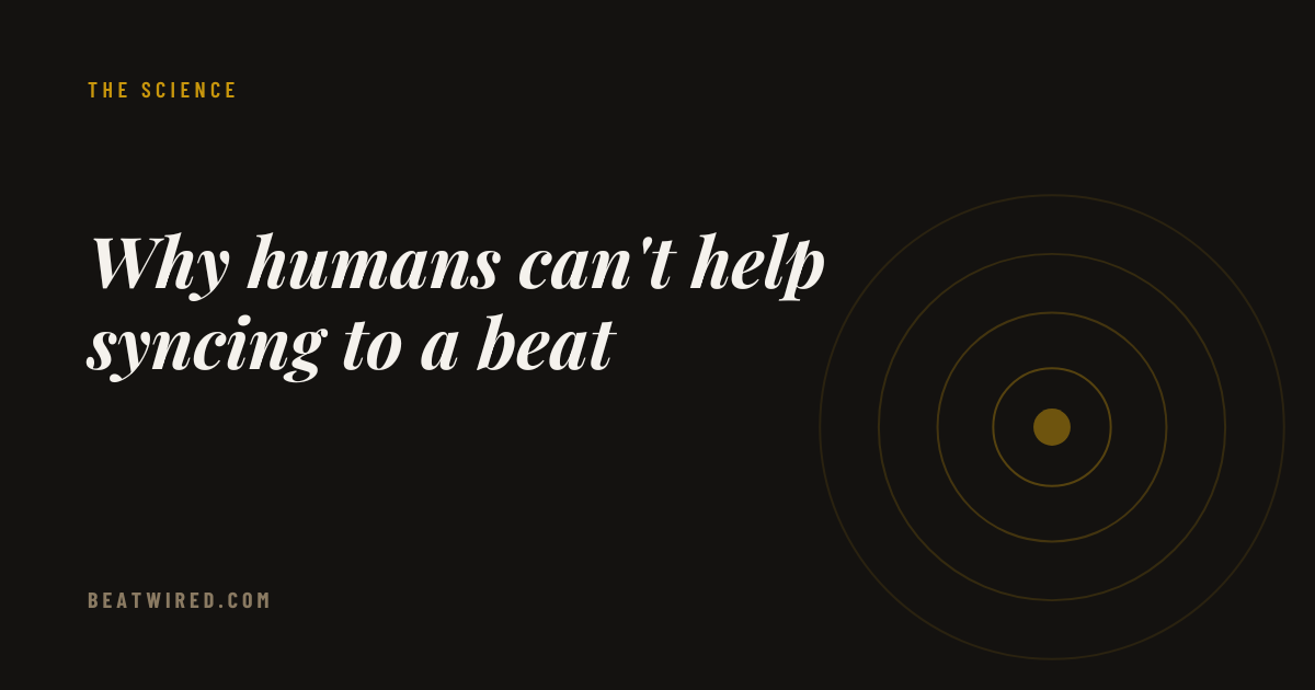 Why humans can't help syncing to a beat