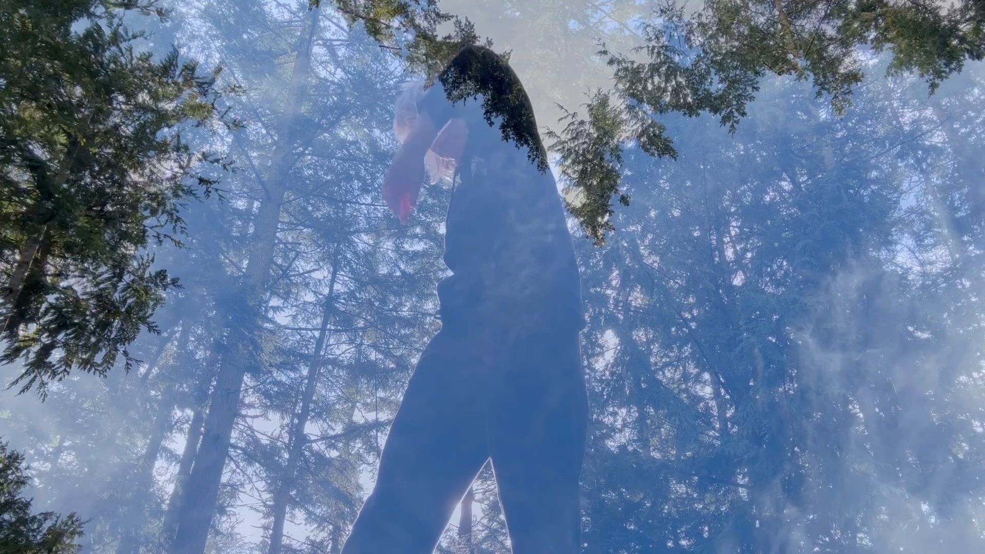 lymra still_forest_bg.jpg
