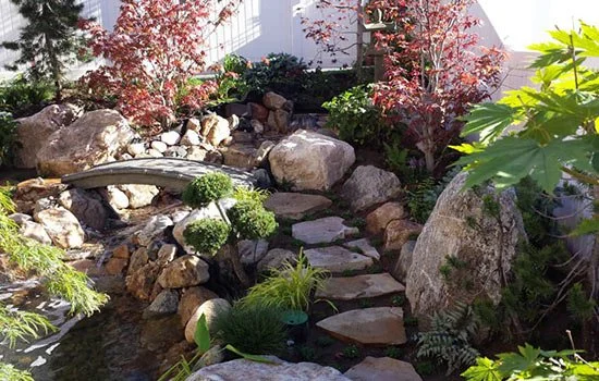 STEPS AND BRIDGE.jpg