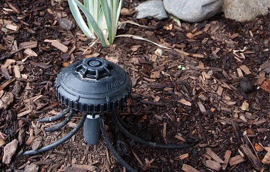 sprinkler.jpg