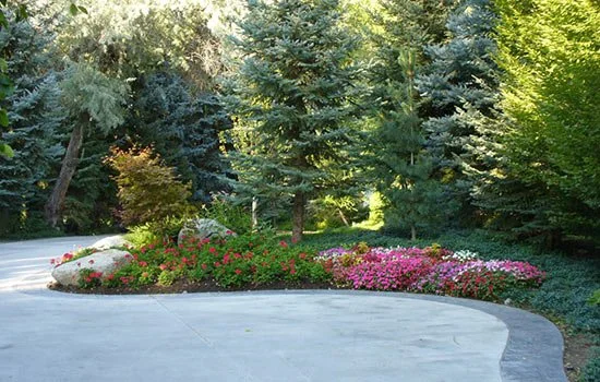CUSTOM DRIVEWAYS.jpg