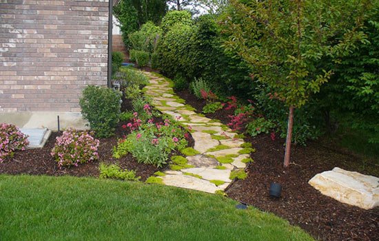 CUSTOM PATHWAYS.jpg