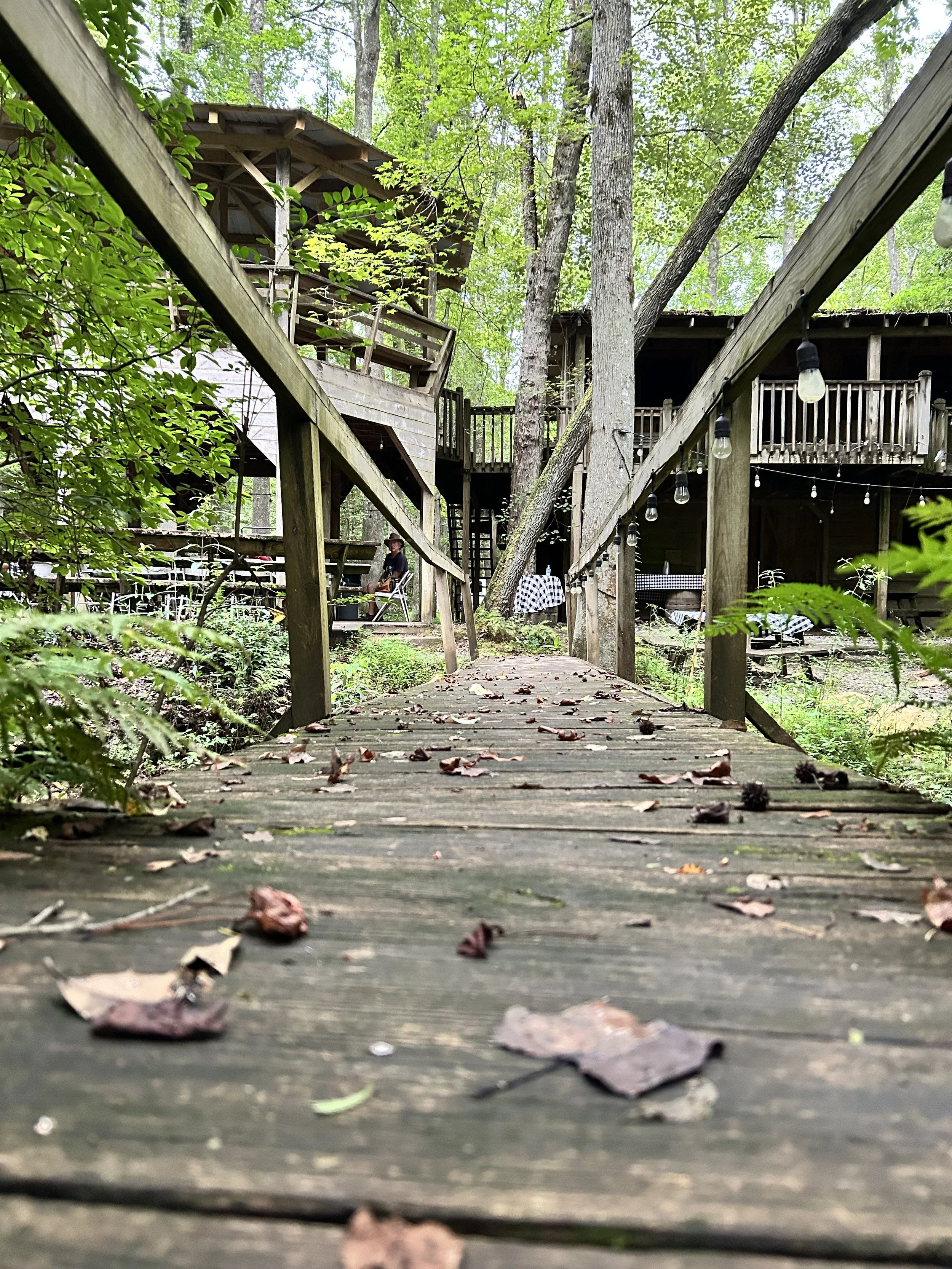 Wooden pathway leading to a treehouse in a lush green forest. The pathway has fallen leaves and pinecones scattered on it. The treehouse is multi-level with outdoor stairs and string lights hanging along the rails. A person in a black shirt and hat i