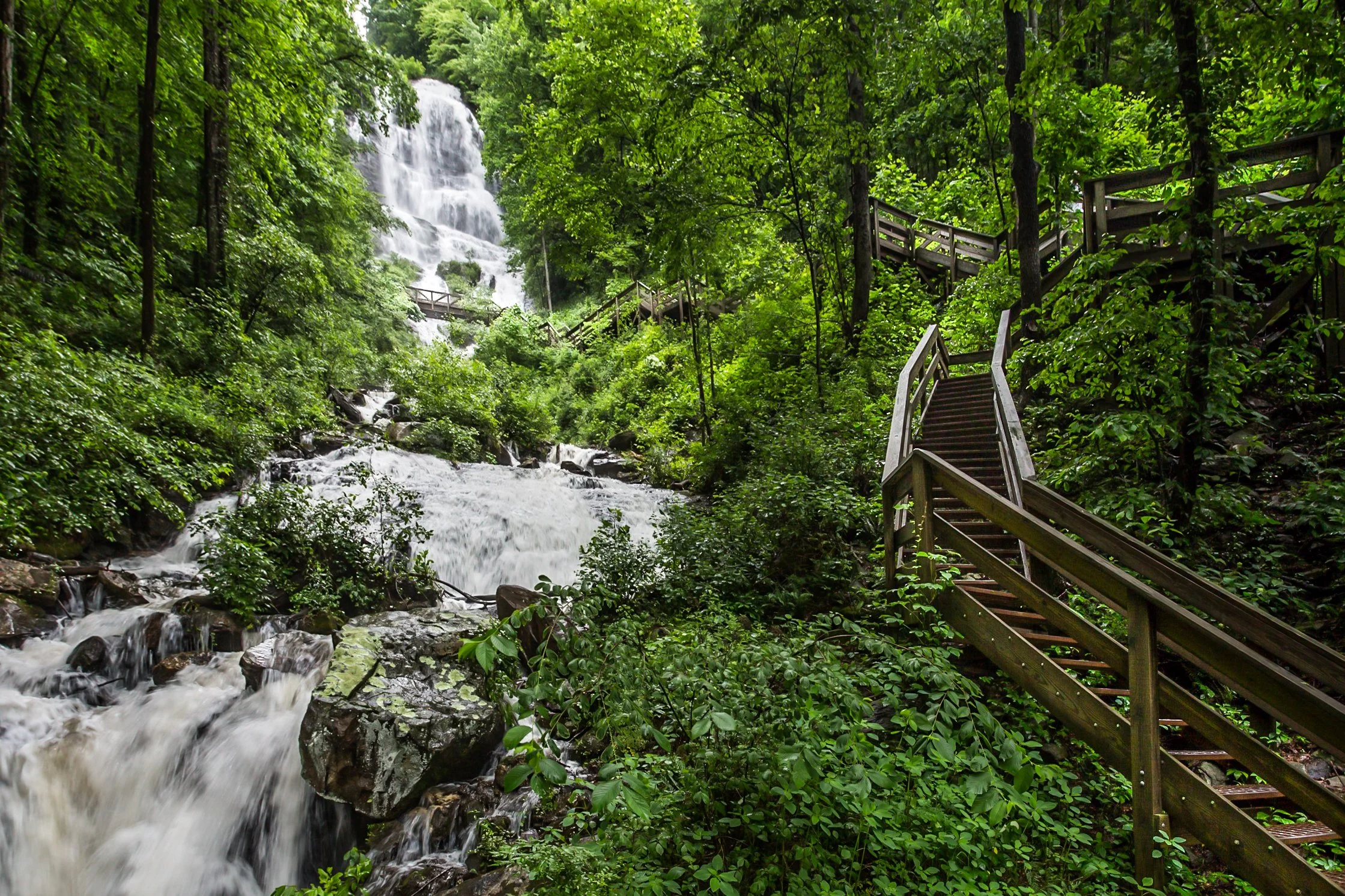 From 140 Acres of Wilderness to a North Georgia Mountain Resort: The Story of Forrest Hills
