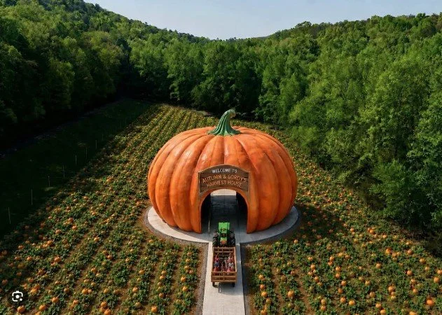 Burt's Pumpkin Farm now features the world's largest drive thru pumpkin w/hay rides & shop. 10 minutes away near Amicalola Falls. September through November