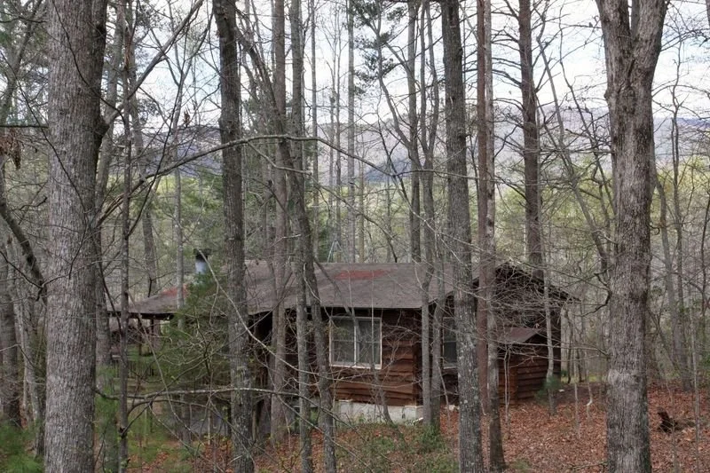 A wooden house surrounded by leafless trees in a forested area.