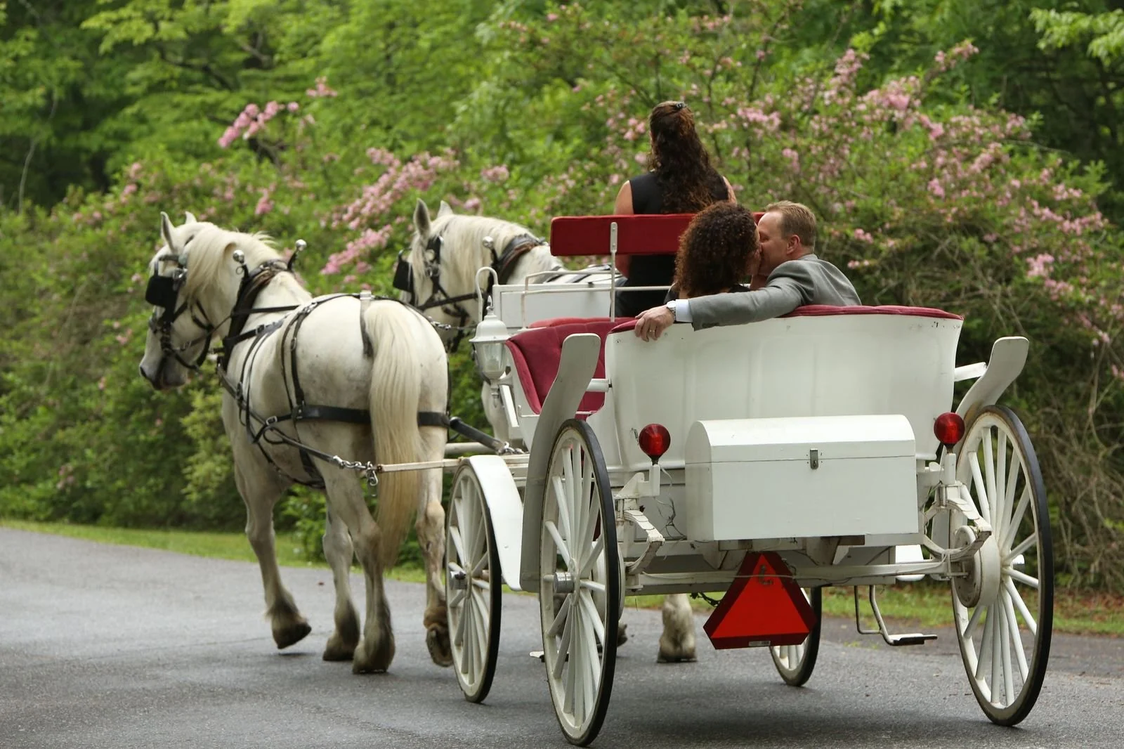 A horse-drawn carriage with three people riding in it, one man and two women, on a road surrounded by green trees and pink flowers.