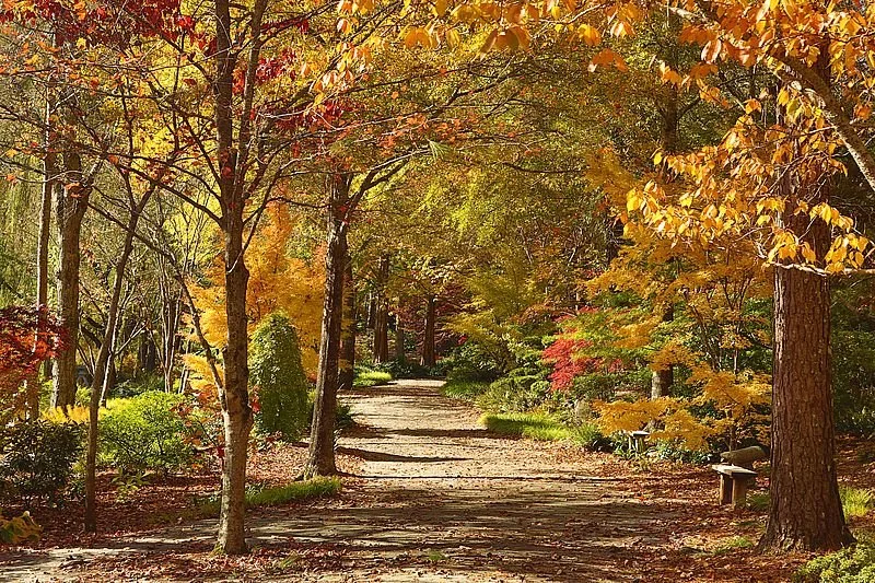 gibbs-gardens-fall-dirt-road.jpg