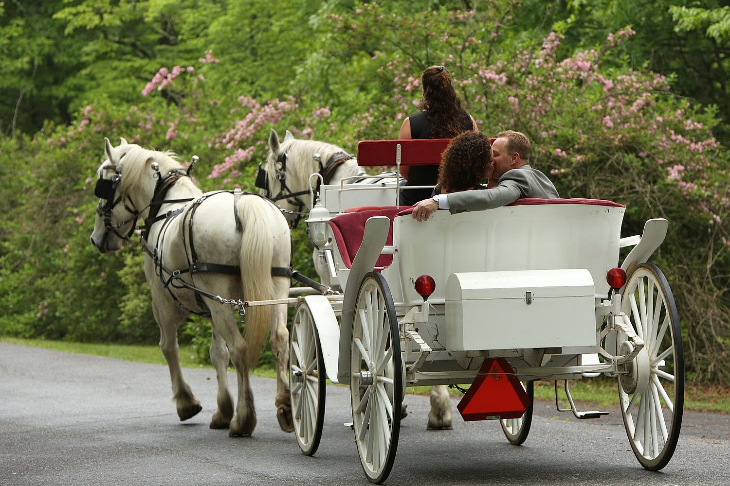 Carriage Rides