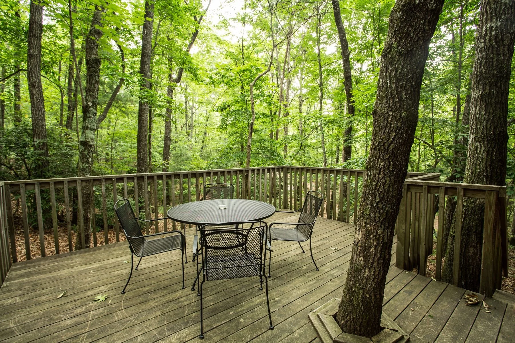 two-bedroom-family-cabin-wooded-deck-forrest-hills.jpg.jpg