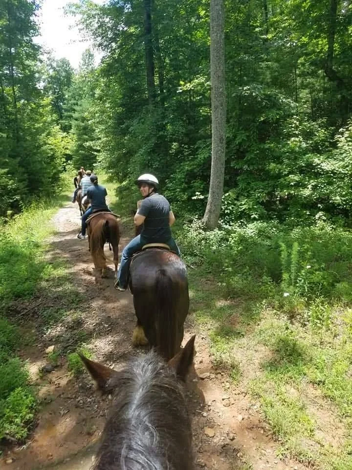 Guided Horseback Rides