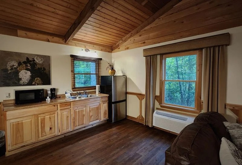 Interior of a cozy cabin kitchen with wood cabinets, a small refrigerator, a microwave, and a window overlooking a wooded area.