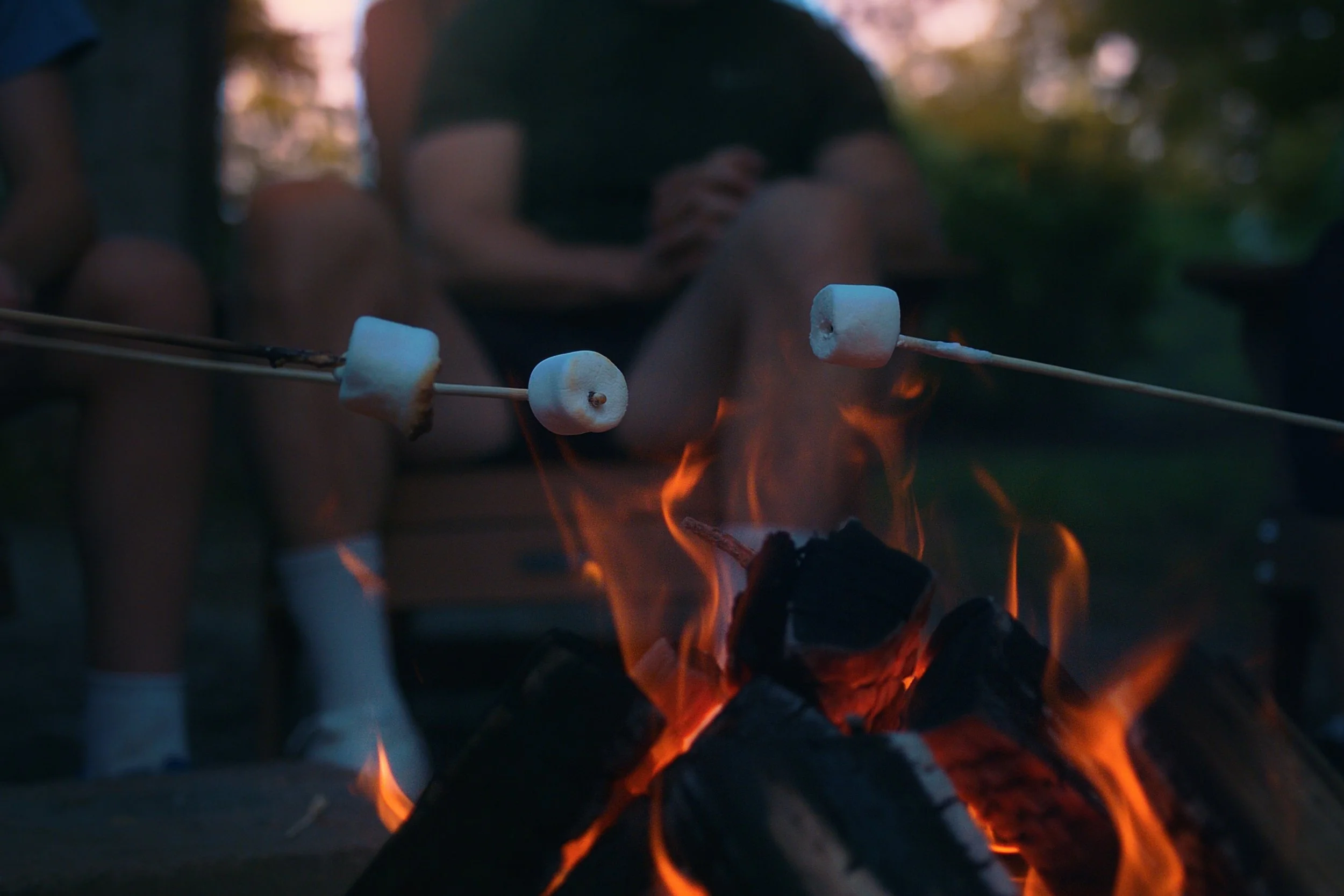 Marshmallows being roasted over an open fire during evening or night time.