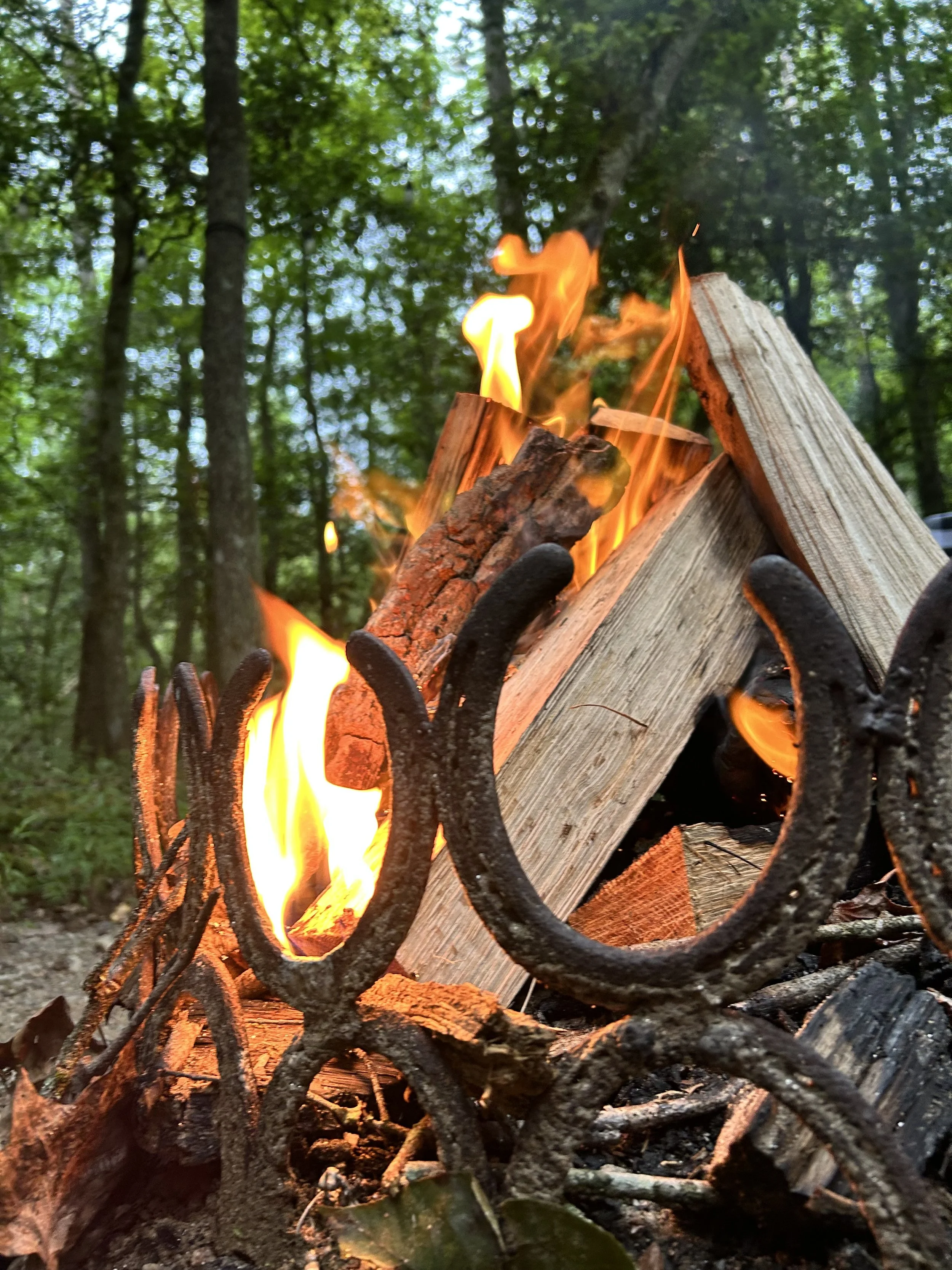 A close-up of a campfire with burning logs and blackened metal grill in a forest setting, with tall trees and green foliage in the background.